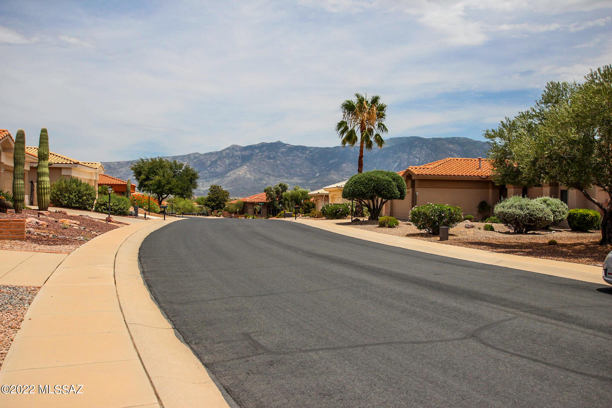 Sun City Vistoso Unit 14 (1-46) - Residential