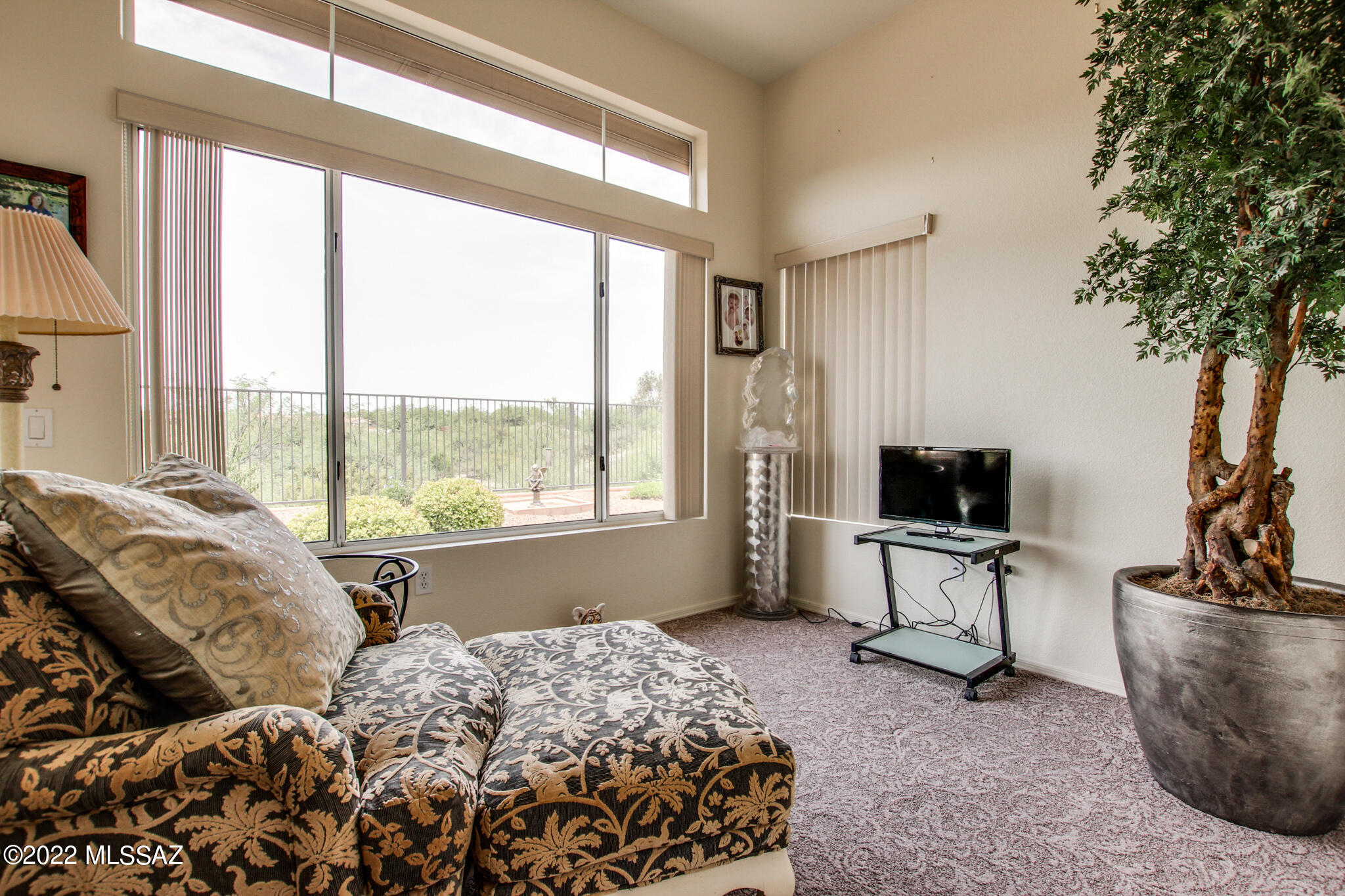 Sun City Vistoso Unit 14 (1-46) - Residential