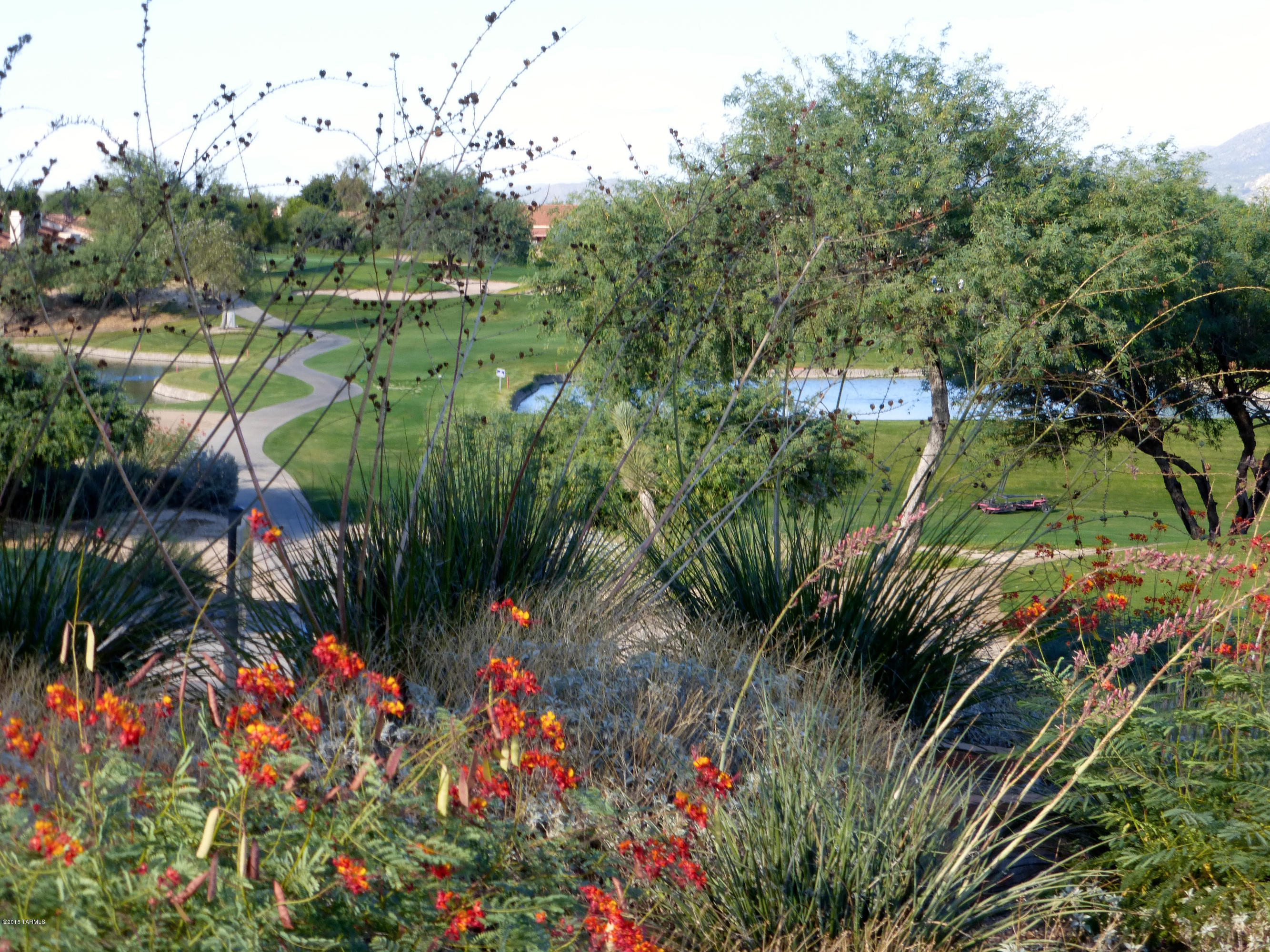 Sun City Vistoso Unit 12(1-277) - Residential