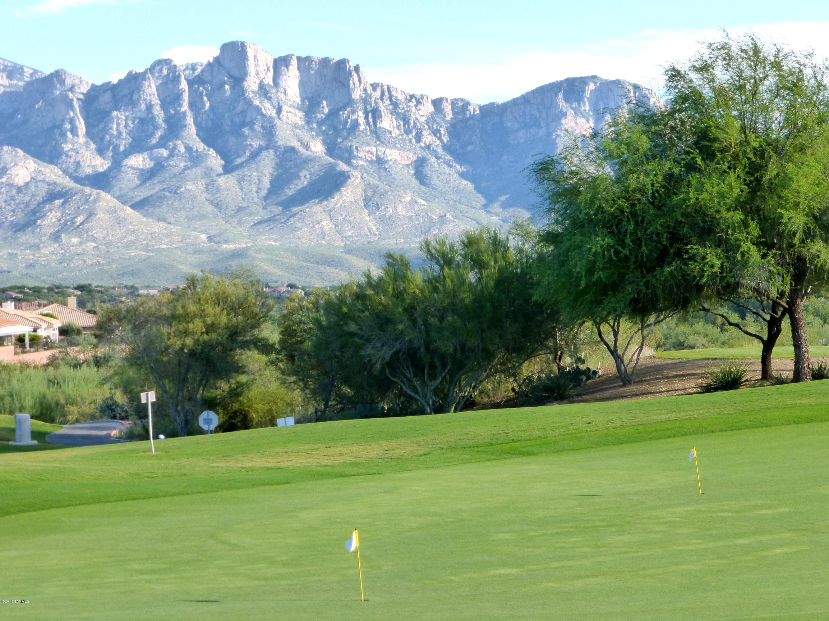 Sun City Vistoso Unit 12(1-277) - Residential