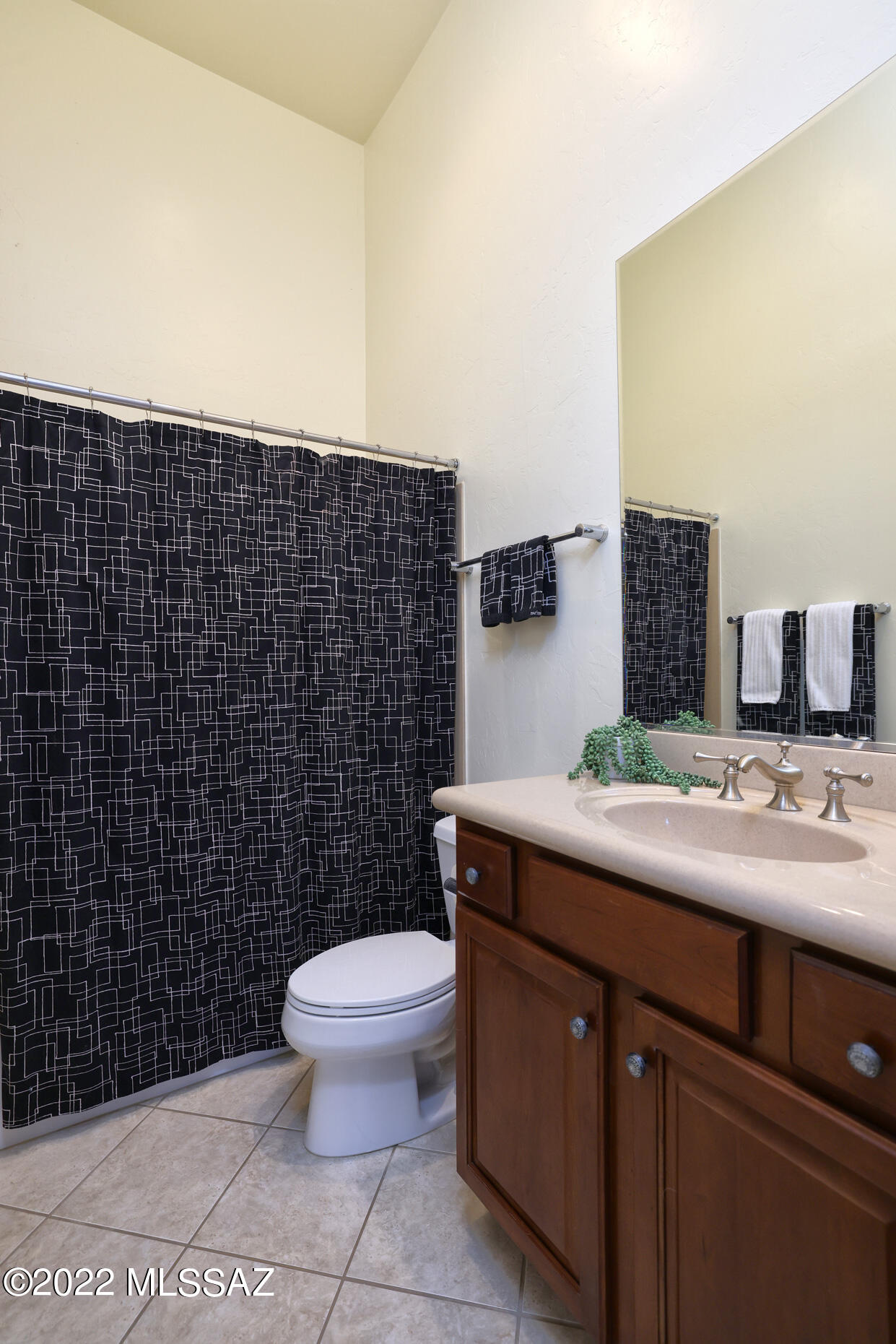 Rancho Vistoso Nghbr 11 - Residential