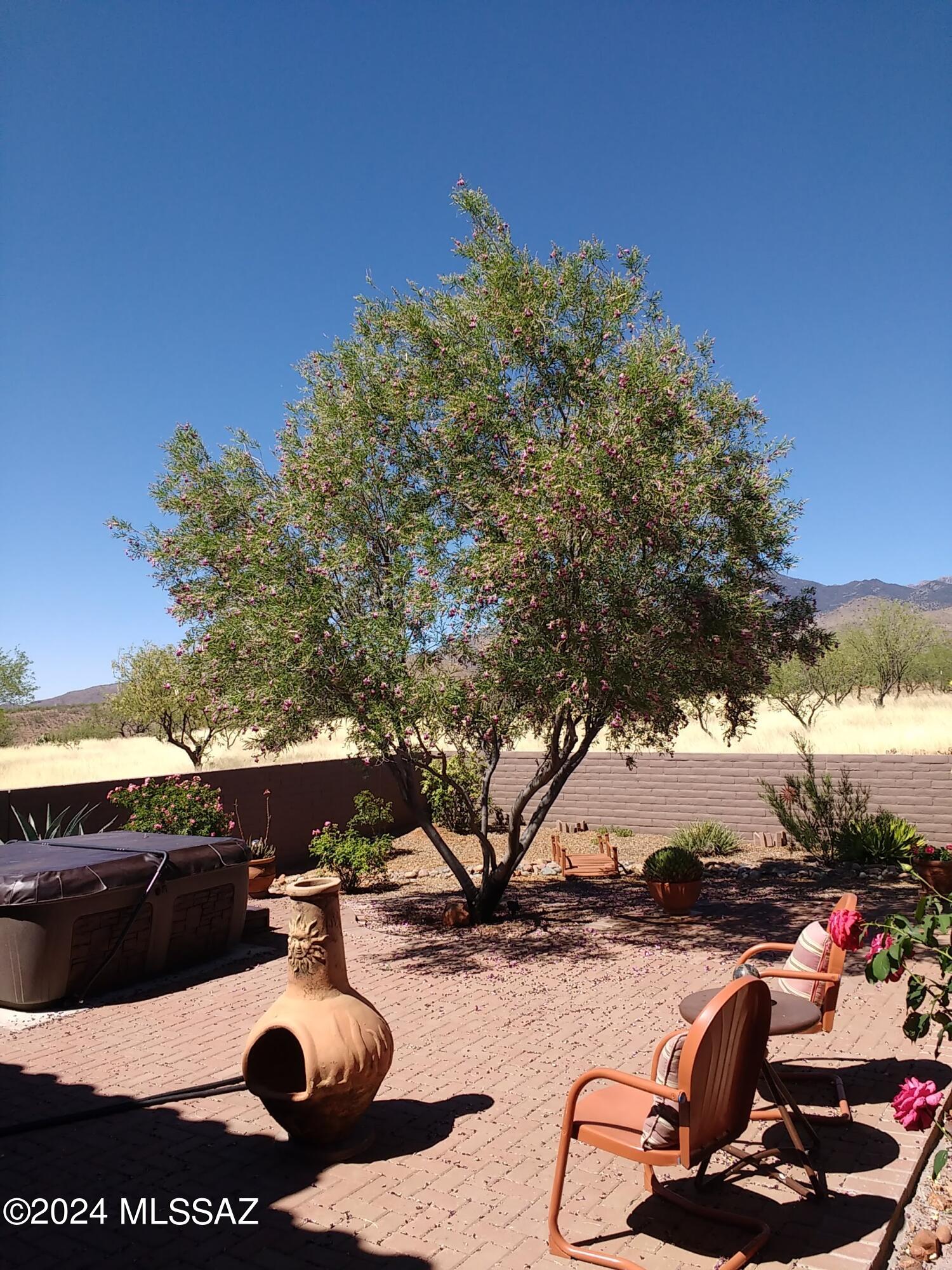 Tubac Foothills Ranch - Residential