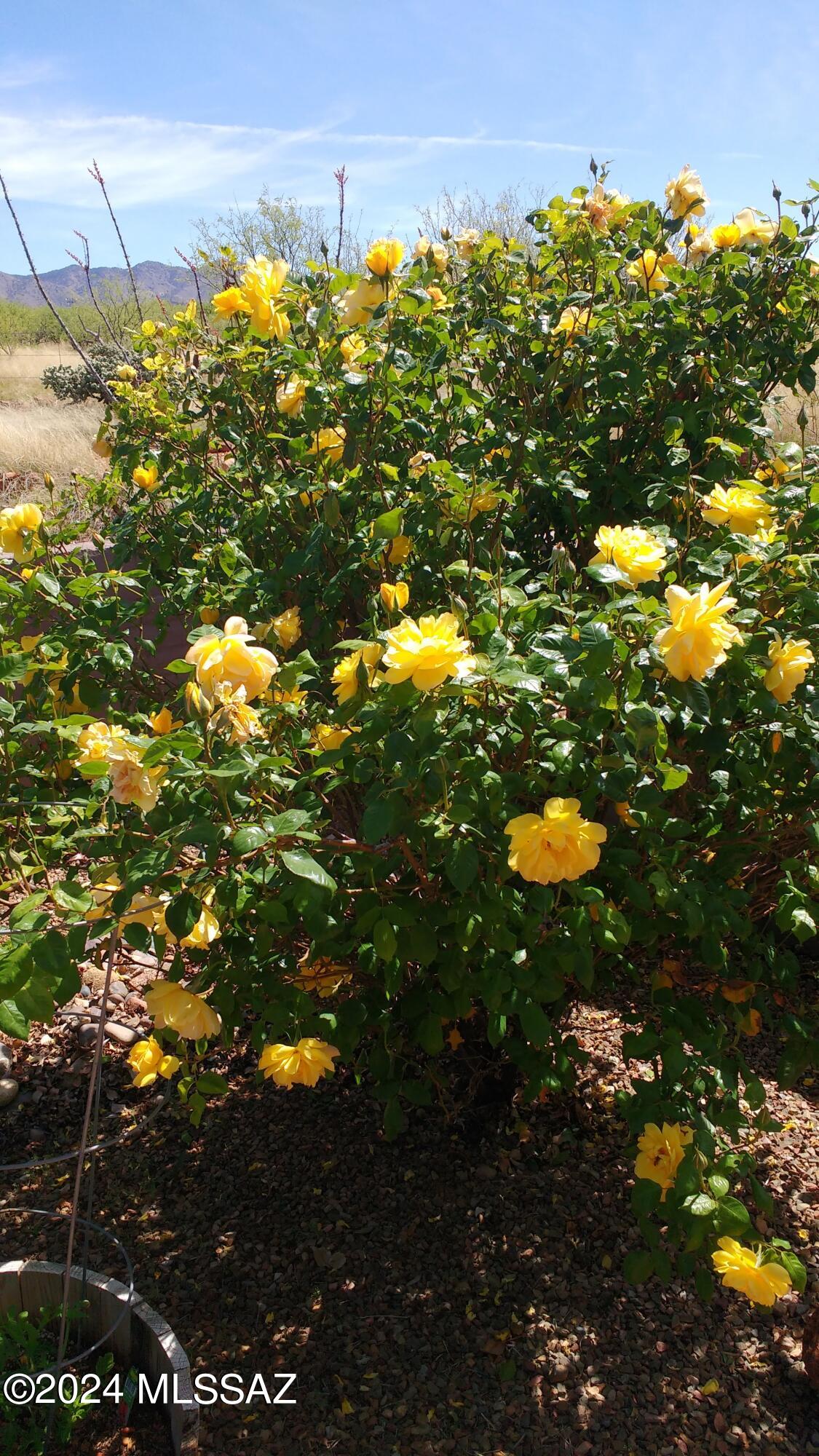 Tubac Foothills Ranch - Residential