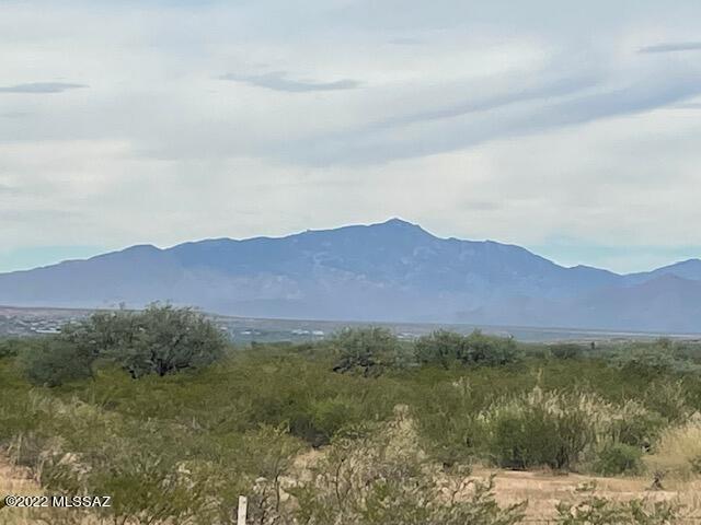 40 Acre Parcel located in Benson but on the St David line. Has access off of S. Lonesome Rd, to Taylor Pass. Great property to homestead or Recreational Getaway. Horses allowed. Unrestricted Land! No HOA. Zoned RU-4. Can subdivide. Good surrounding Mountain, panoramic views. Very private area but only a few minutes to downtown Benson and I 10. 20 Minutes to Tombstone. Manufactured homes allowed. Seller says he remembers from years ago that there may be a well on the lot. Condition, location and existence is unknown. Buyer to further investigate. No value is given to possibility of a well. Price is for vacant lot.