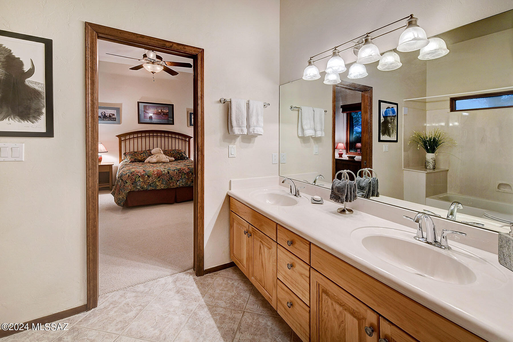 Bellas Catalinas Estates (1-93) - Residential
