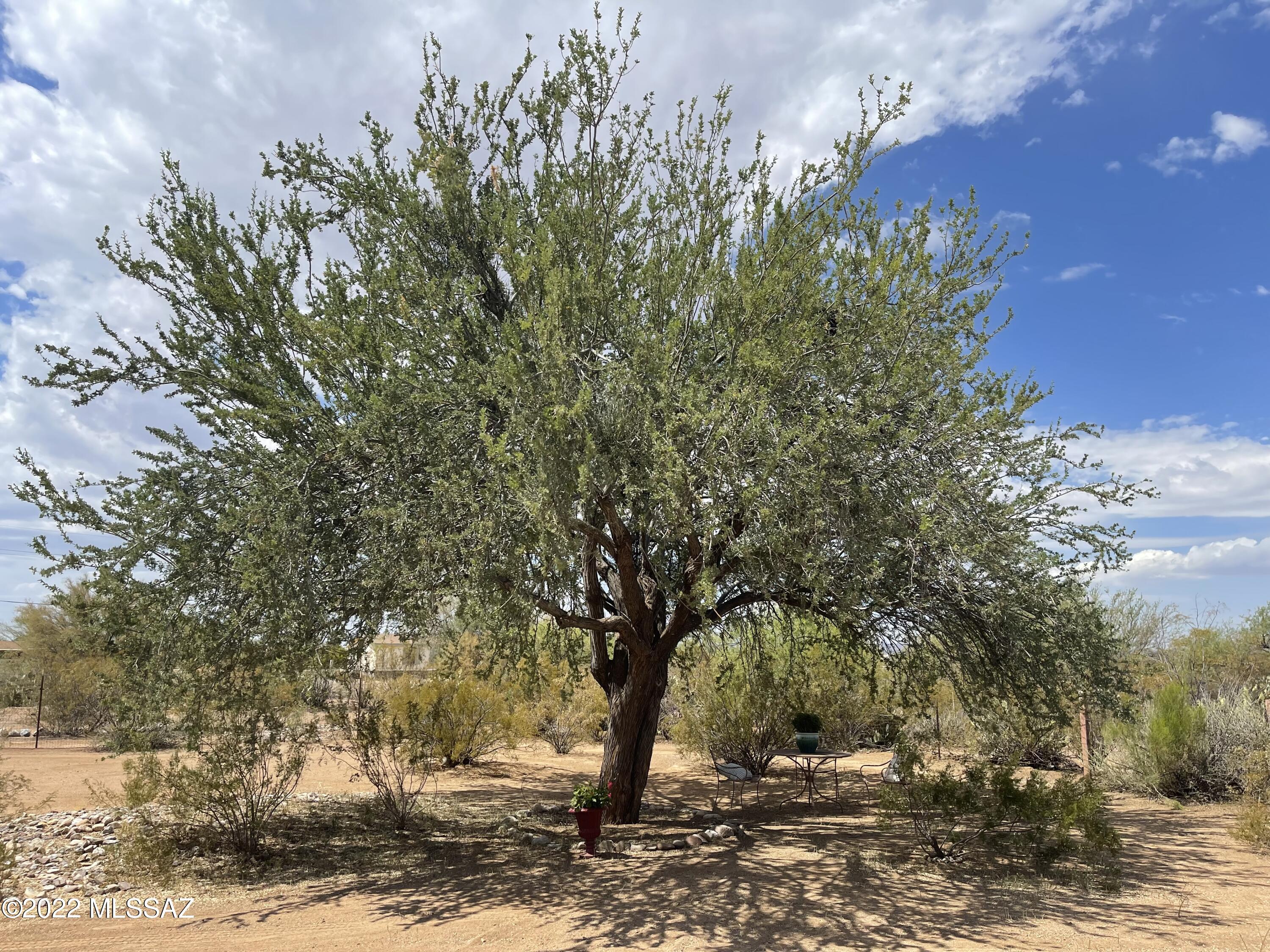 Rancho Del Norte (1-57) - Residential