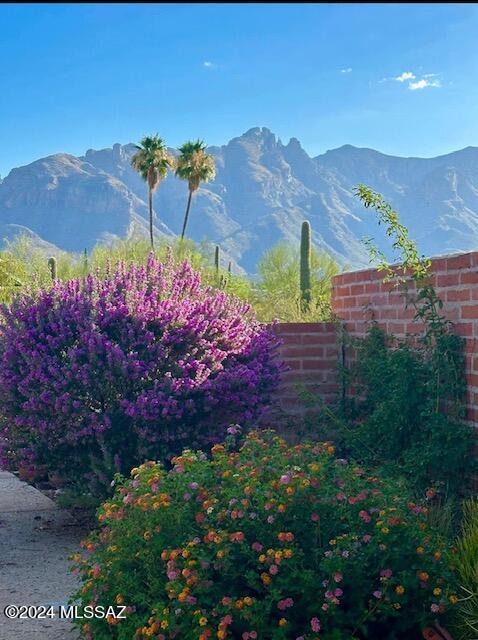 Catalina Foothills Estates NO. 6 (1-54) - Residential