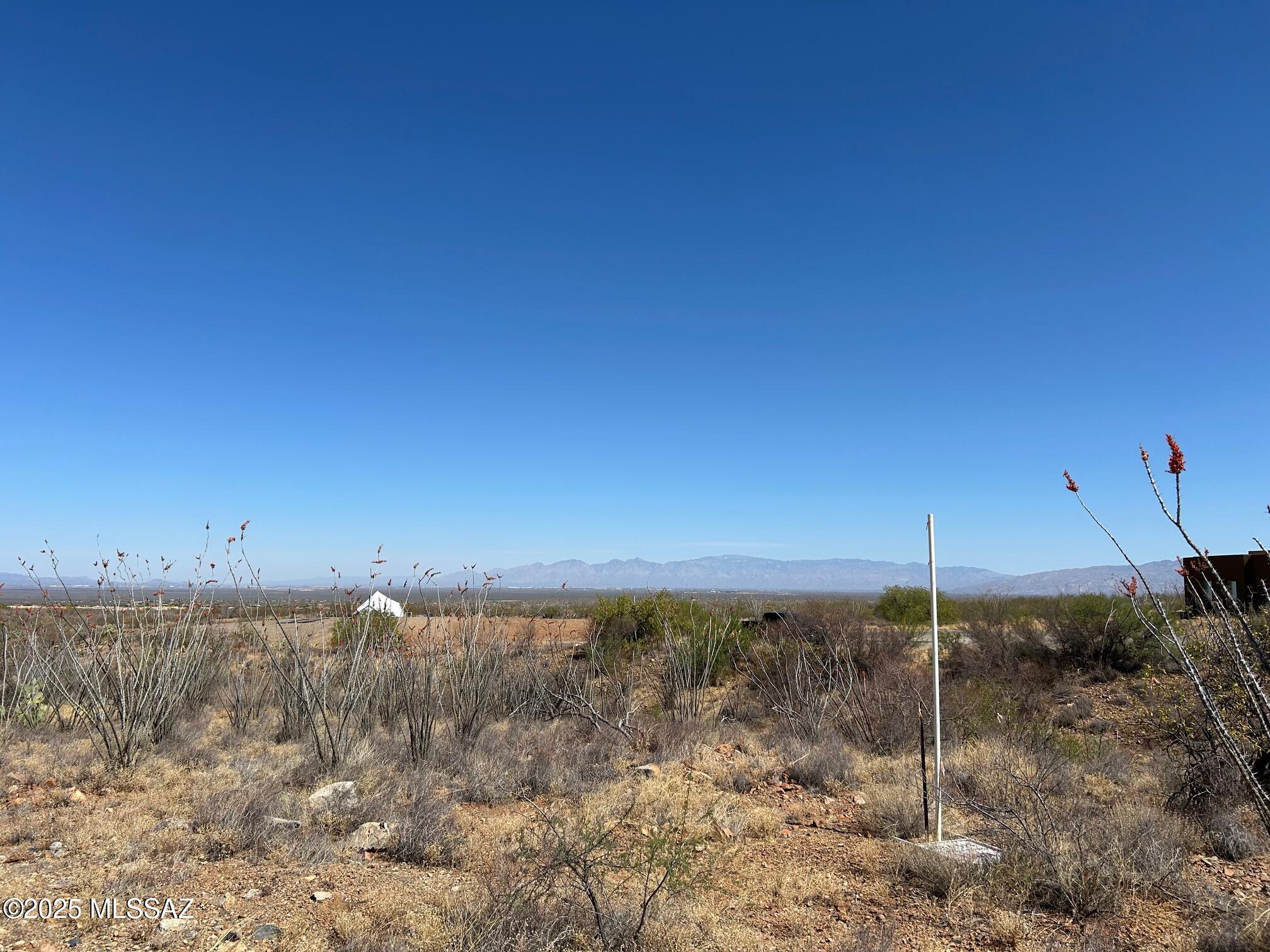 Ocotillo Preserve (1-42) - Land