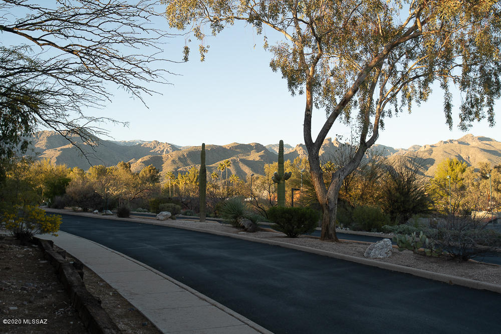 Canyon Ranch Casitas (1-56) - Residential