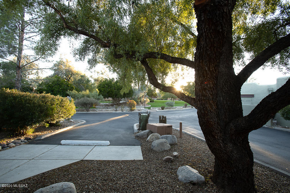 Canyon Ranch Casitas (1-56) - Residential