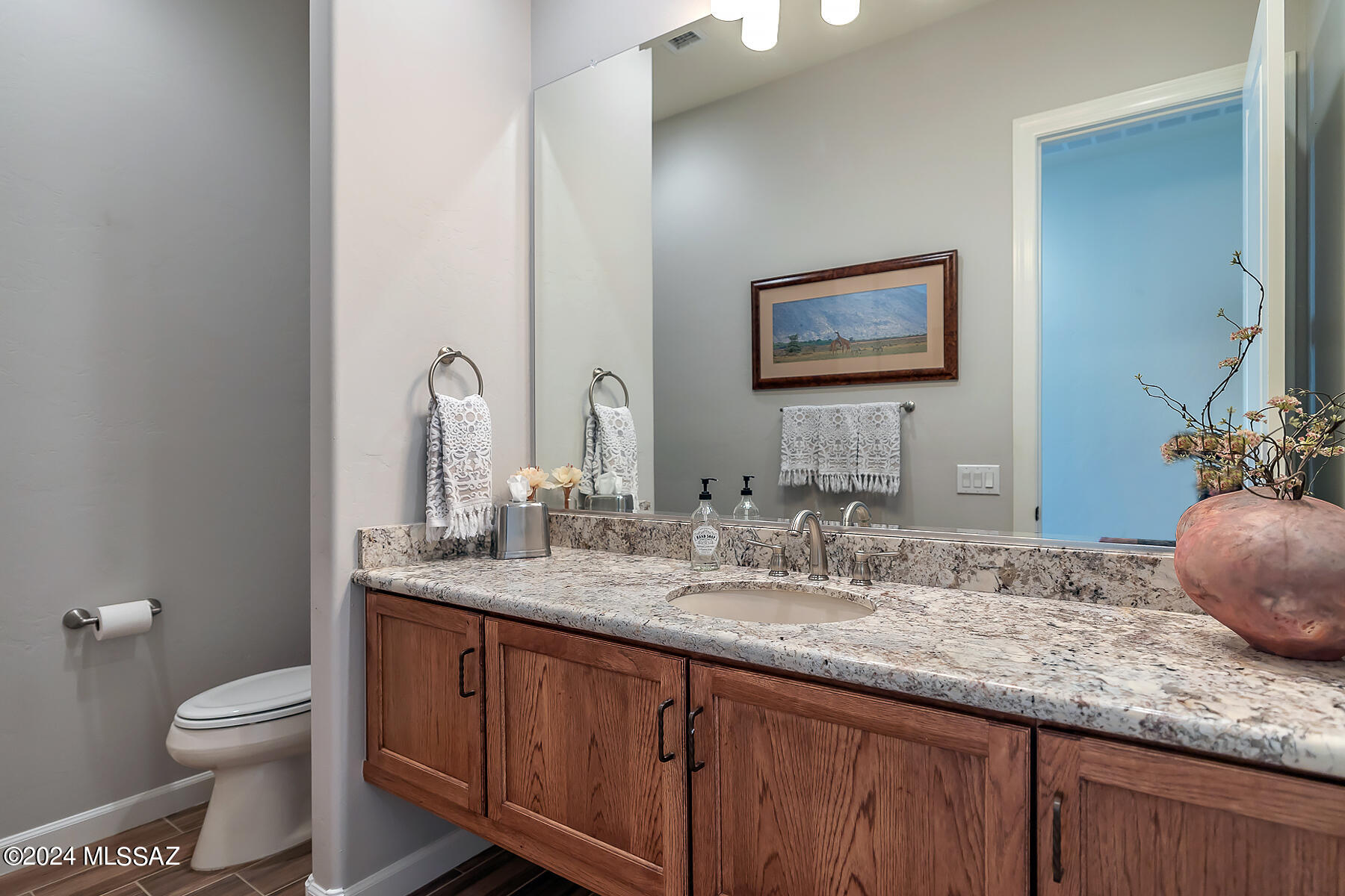 Saddlebrooke - Residential