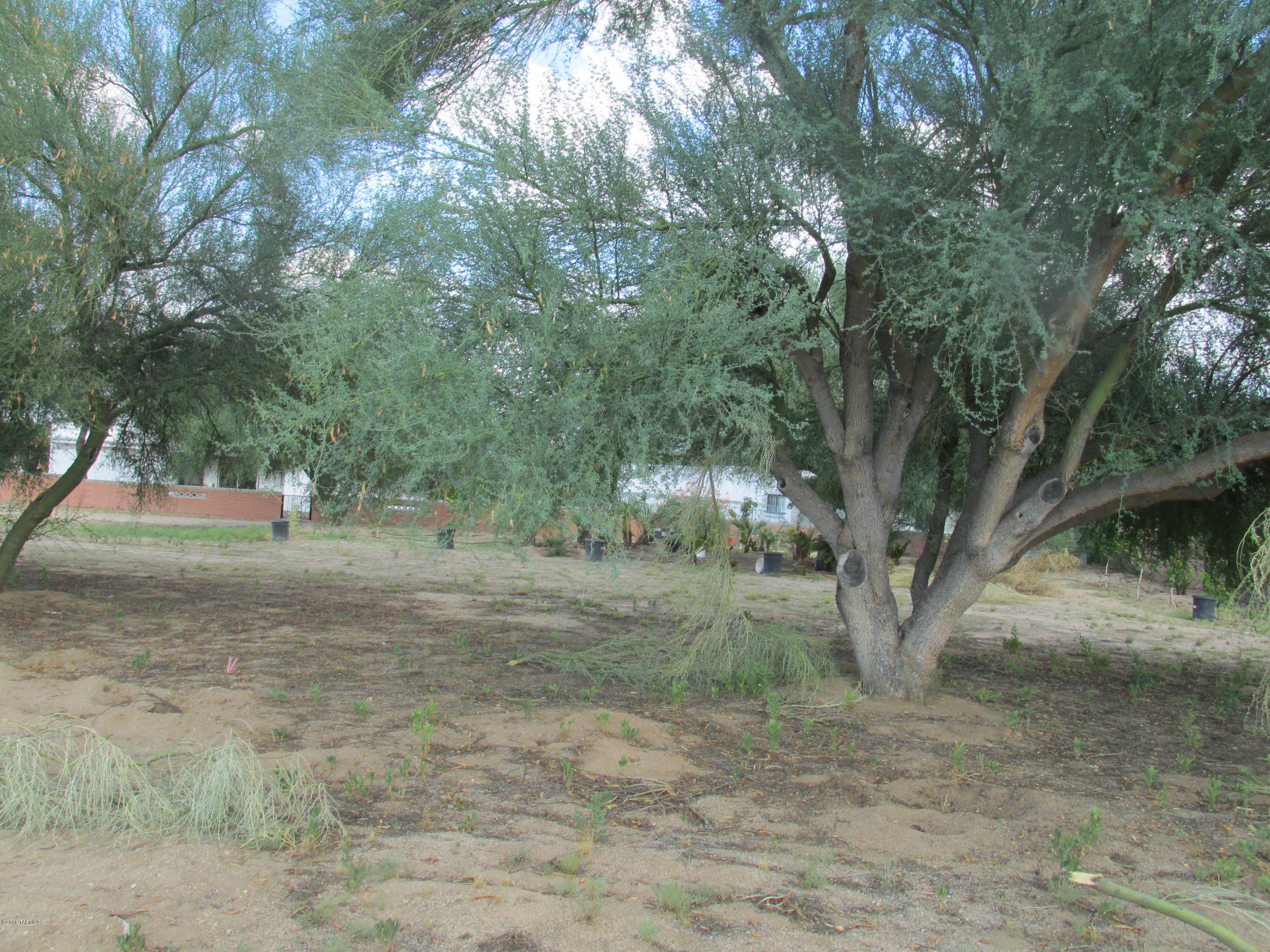 Green Valley Country Club Vistas(1-229) - Land