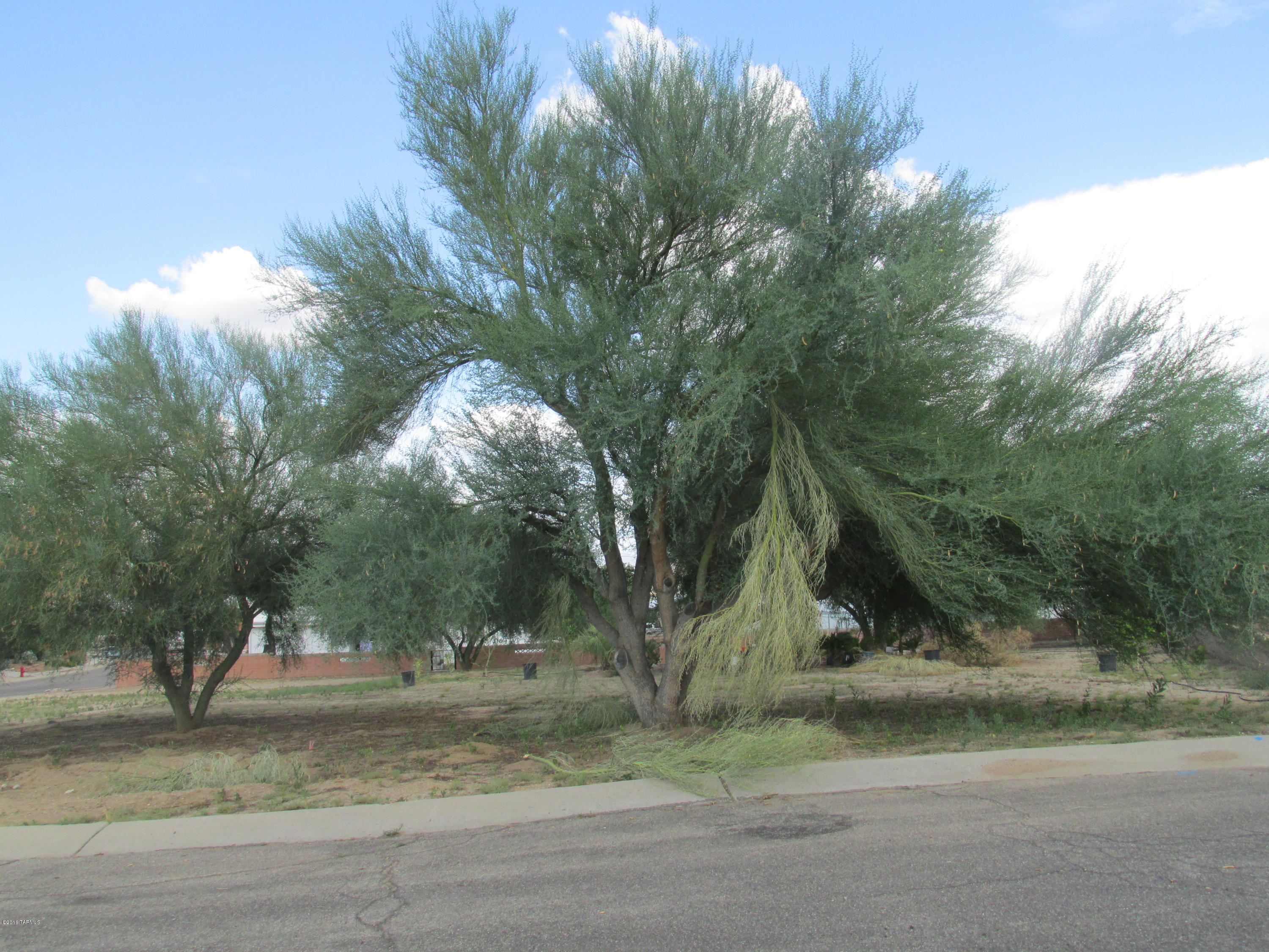 Green Valley Country Club Vistas(1-229) - Land