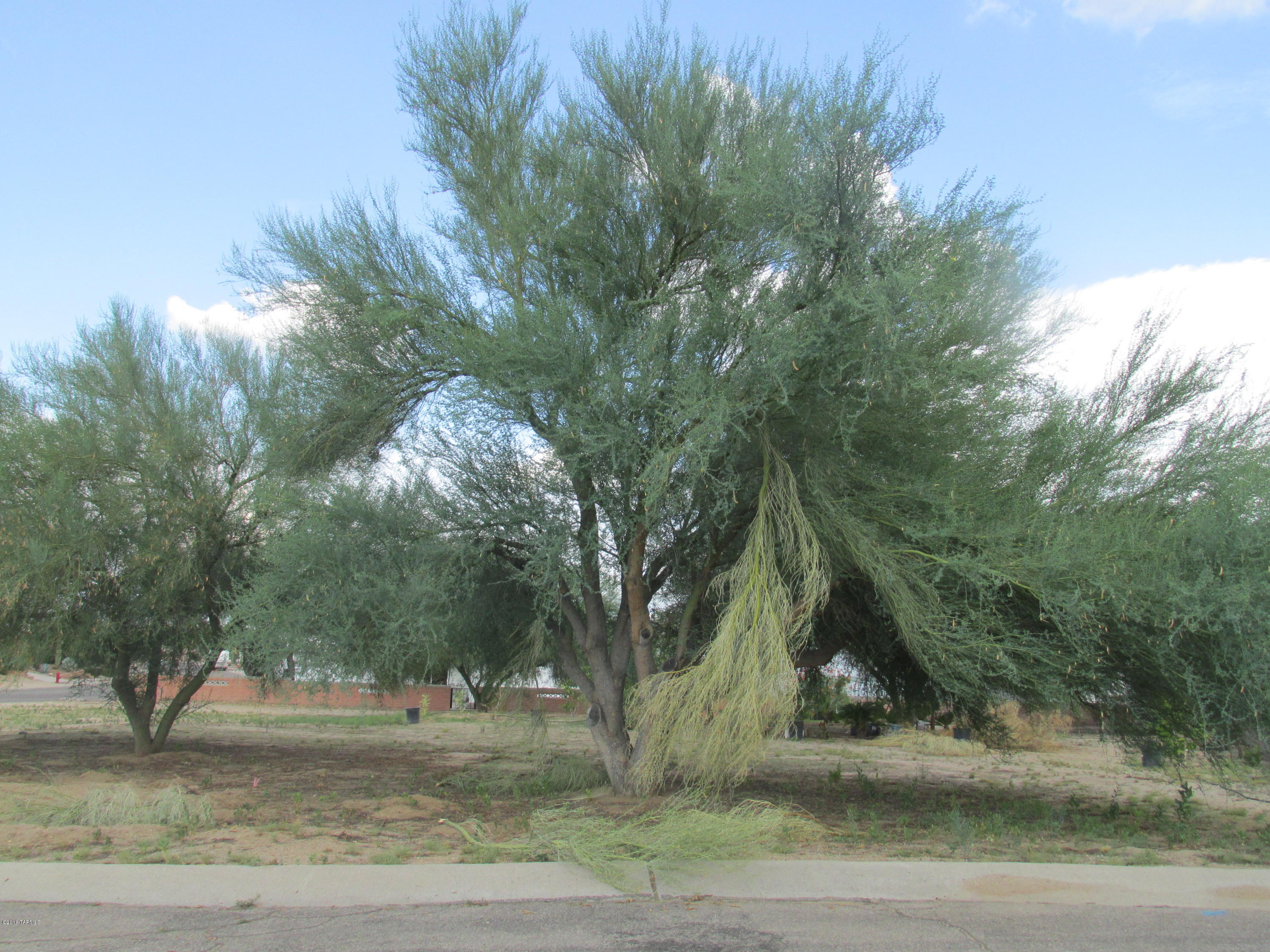Green Valley Country Club Vistas(1-229) - Land