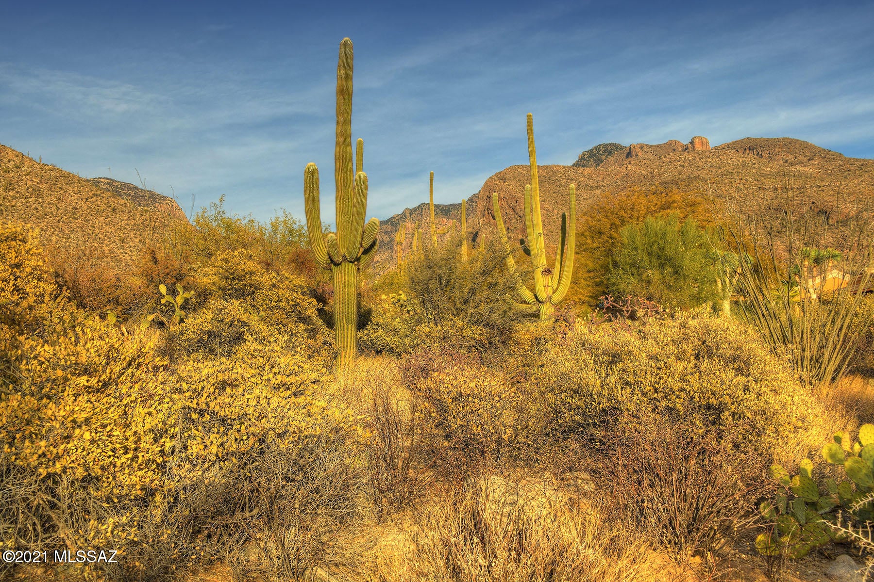 Pima Canyon Estates (30,33,96-102,115,124-127,136-139,147-151,16) - Land