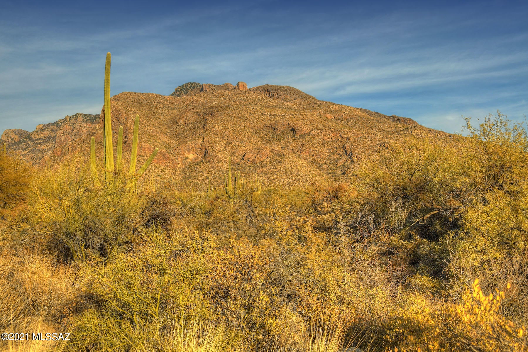 Pima Canyon Estates (30,33,96-102,115,124-127,136-139,147-151,16) - Land