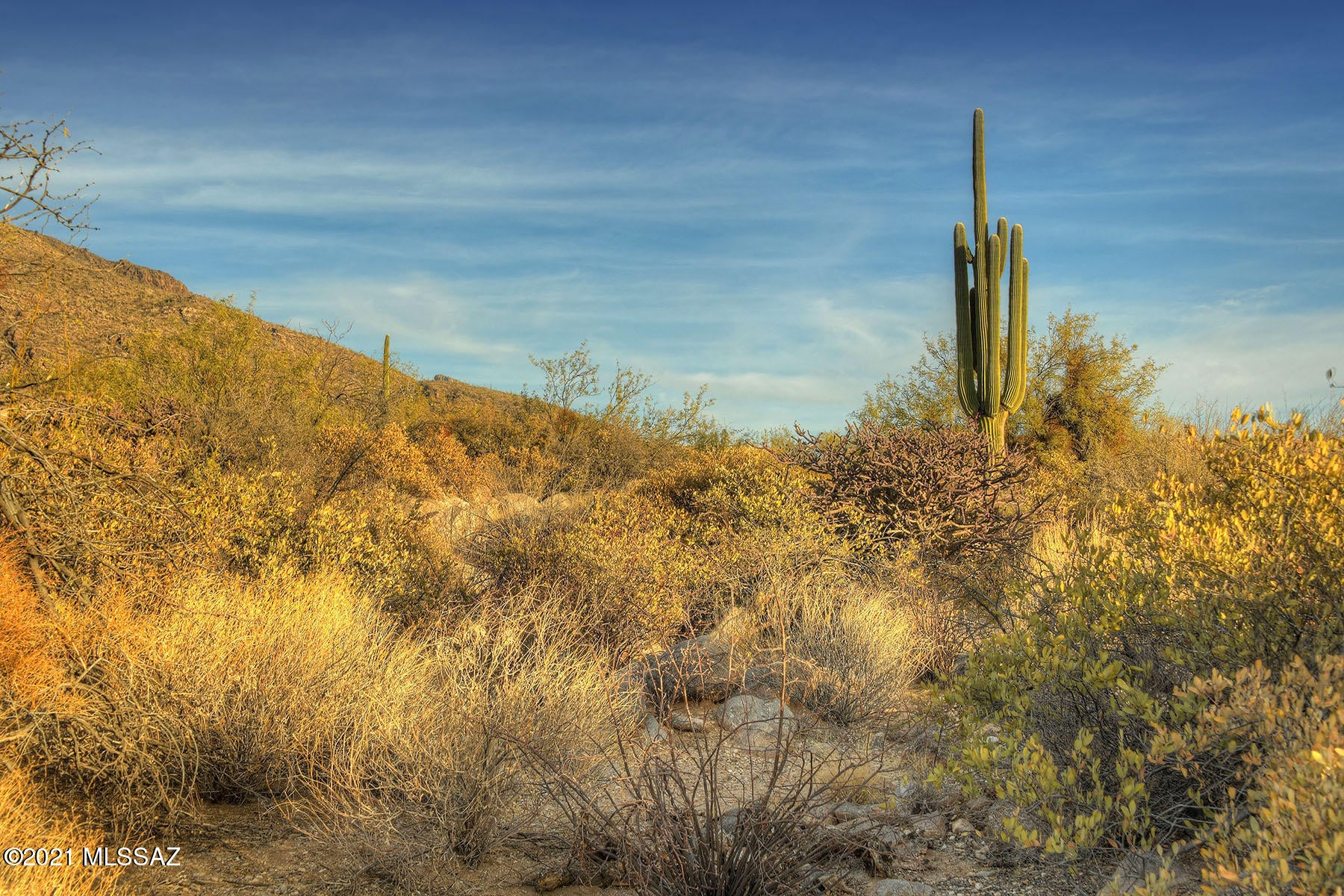 Pima Canyon Estates (30,33,96-102,115,124-127,136-139,147-151,16) - Land