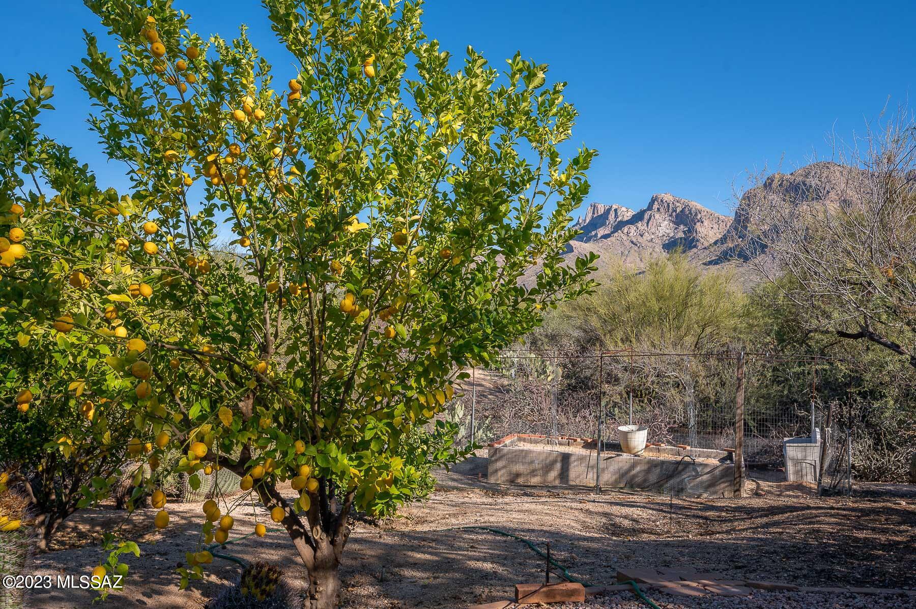 Oro Valley Estates - Residential