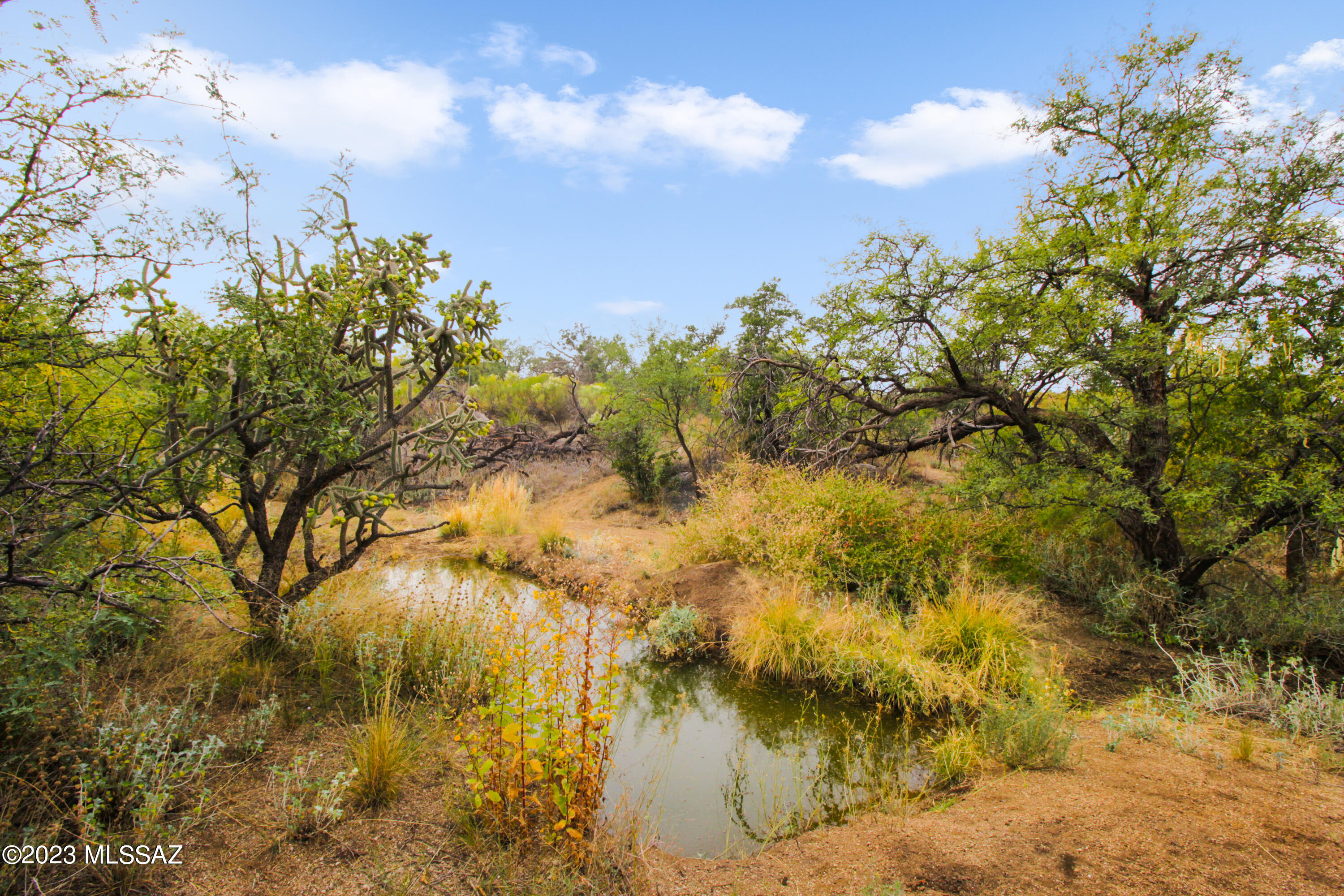 Come build your dream home on this 2.5 acre property, nestled among the mature desert landscaping and boulders of Oracle! At 4500' elevation you'll enjoy spectacular views of the beautiful Catalina mountains, as well as the Sonoran desert. Enjoy the wonderful, unique ''sky island'' climate with an average snowfall of 10 inches annually. You'll experience true four season living only 20 minutes away from city conveniences of Oro Valley and suburban Tucson. The property has a freshly drilled 750' private water well and electricity is available nearby. Zoning is for site built homes. OWNER WILL FINANCE, NO QUALIFYING, GREAT TERMS!