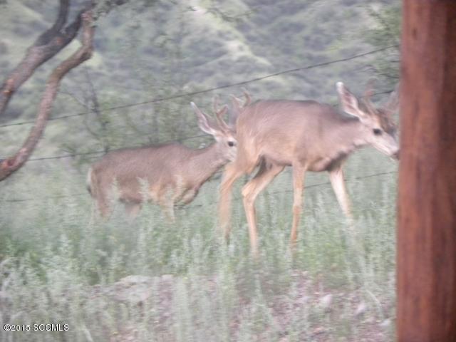 Rio Rico Estates 13 - Residential