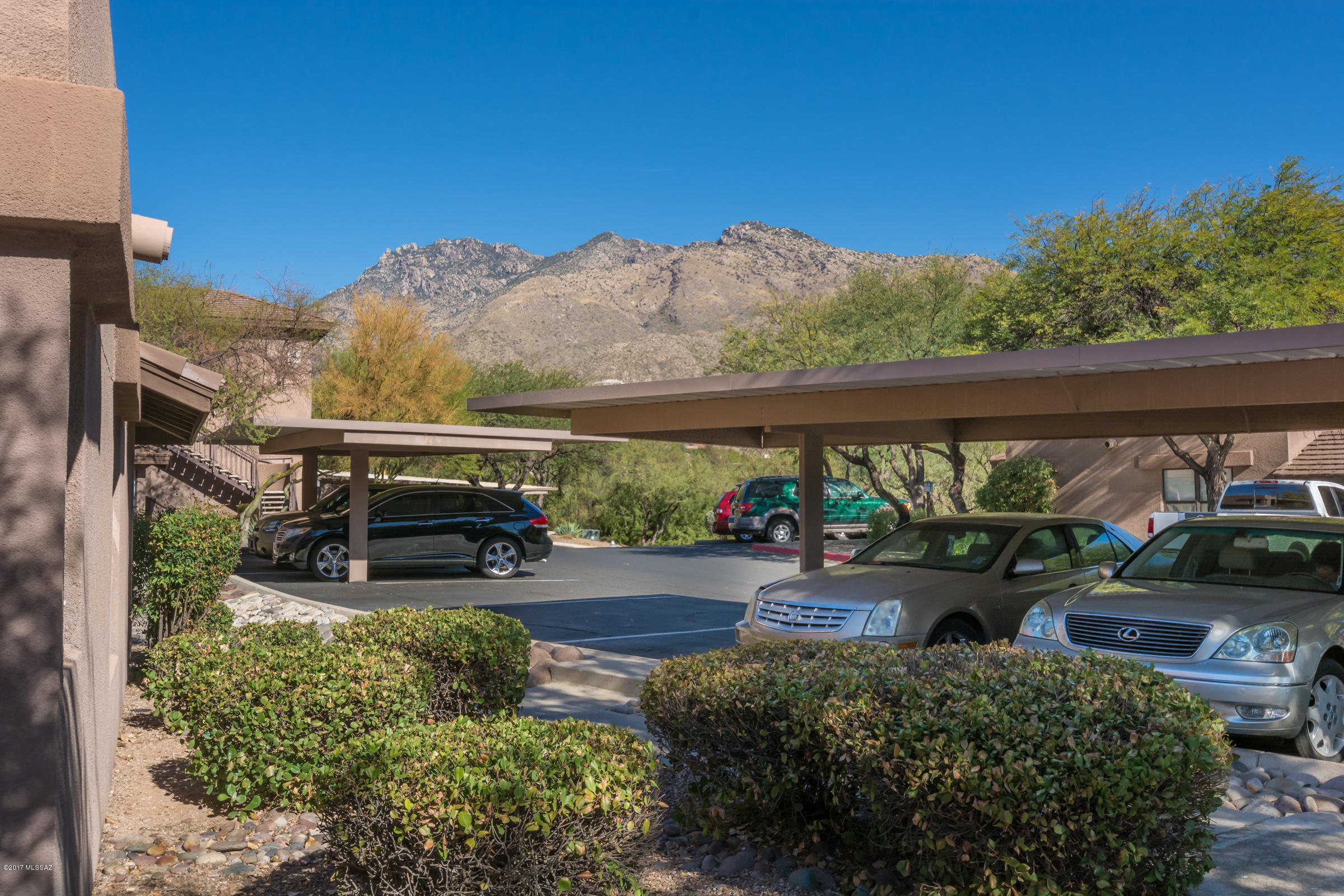 Greens at Ventana Canyon - Residential