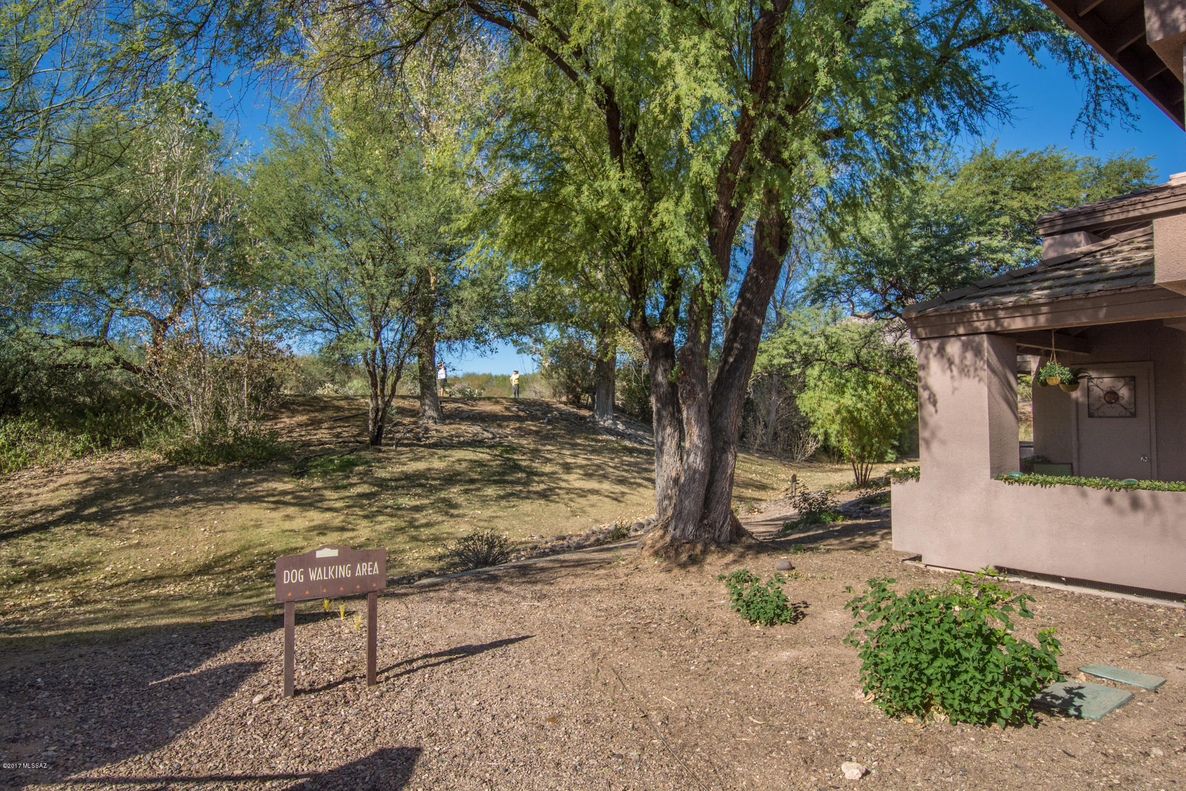Greens at Ventana Canyon - Residential