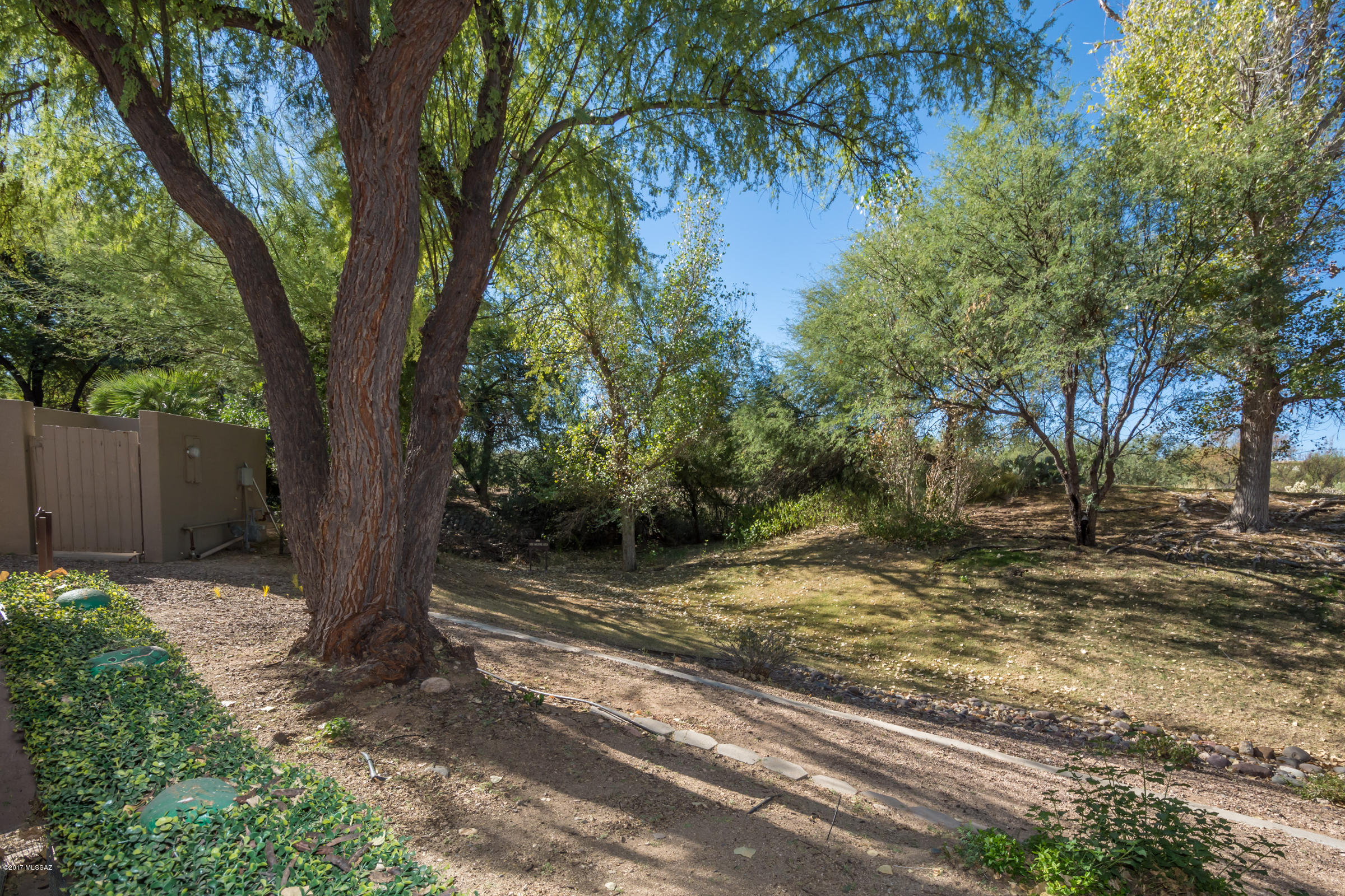 Greens at Ventana Canyon - Residential