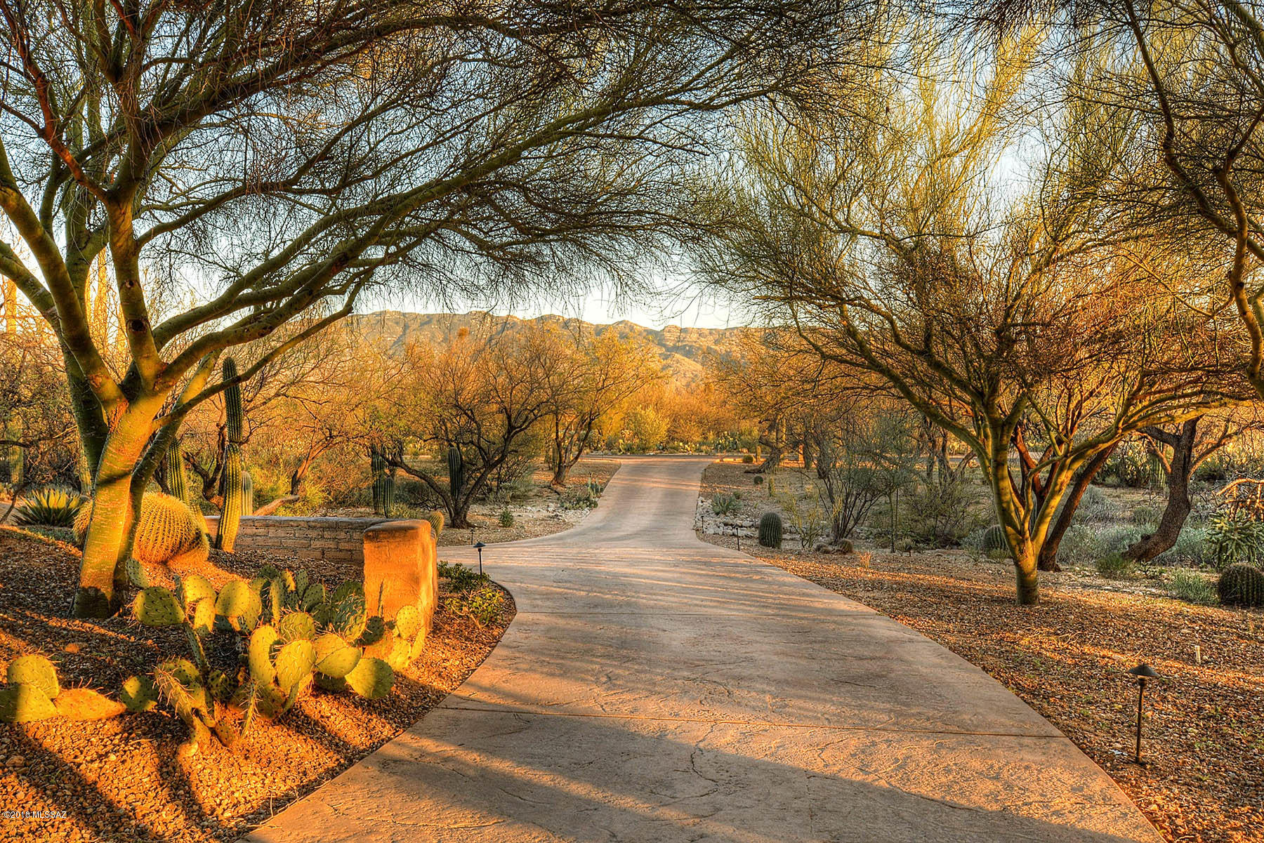 Palo Verde Ranch - Residential