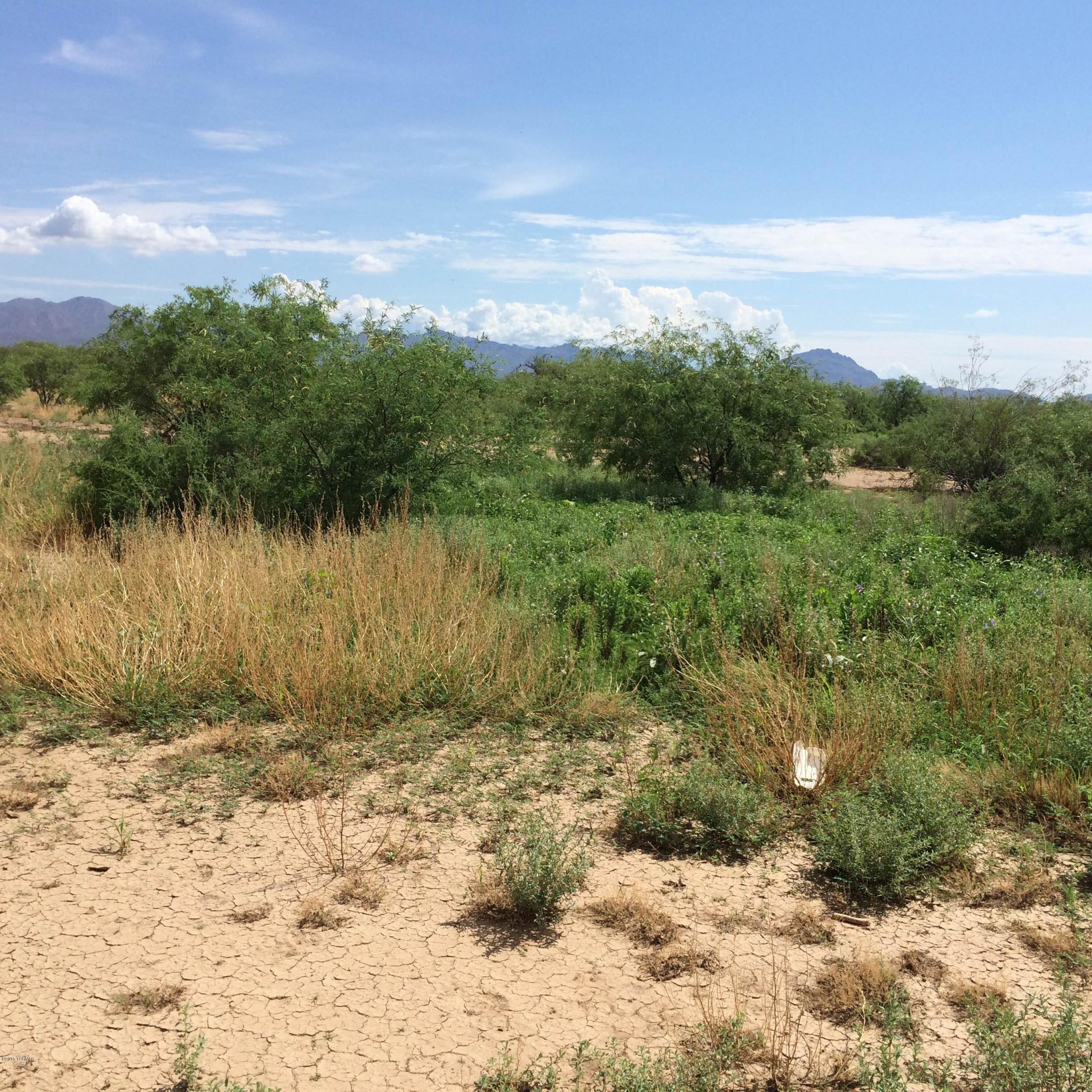 4+ acres with shared well - perfect homesite - flat buildable land - seclusion at a reasonable price. Seller will carry.