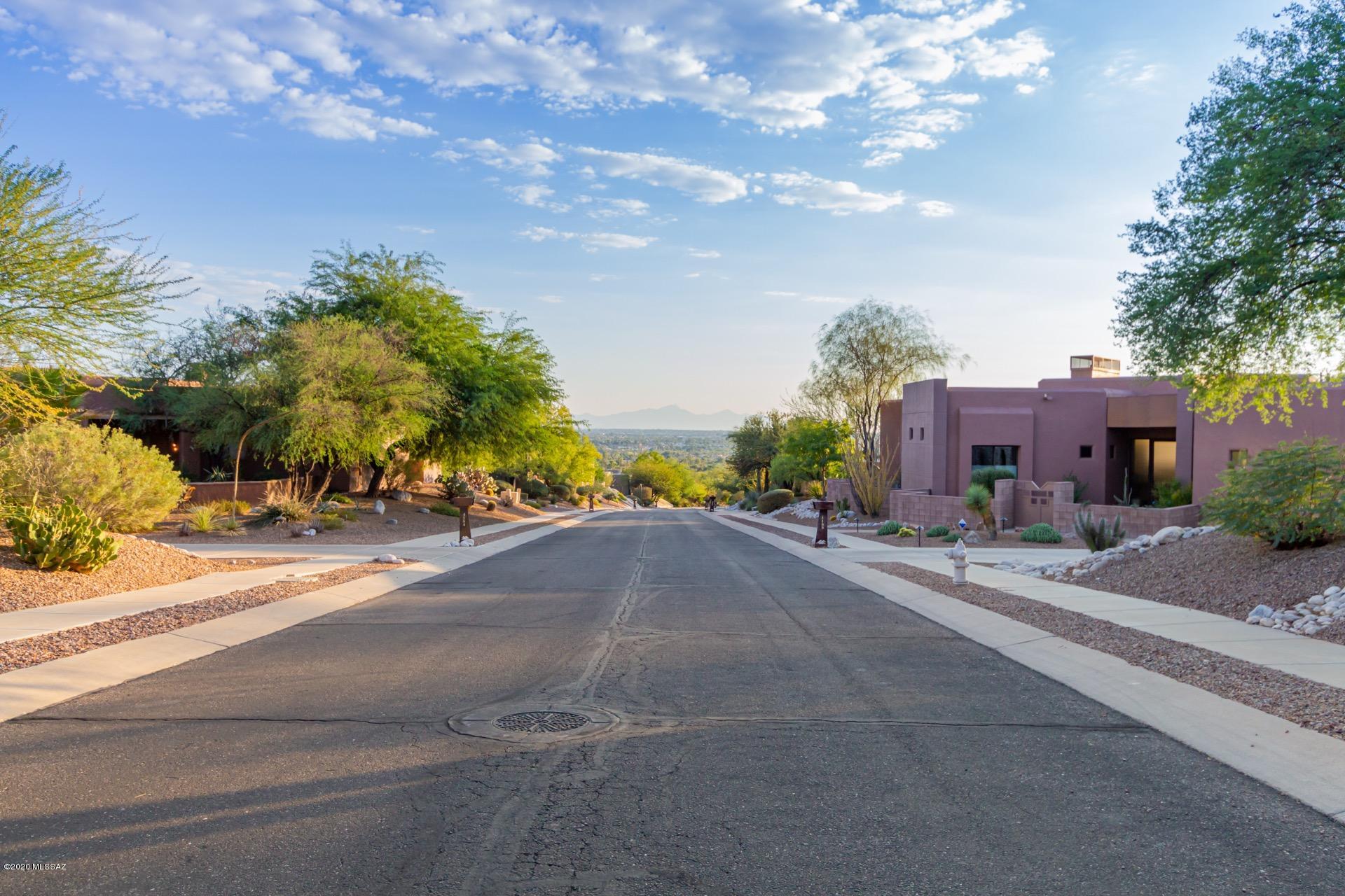 Sabino Mountain (1-290) - Residential