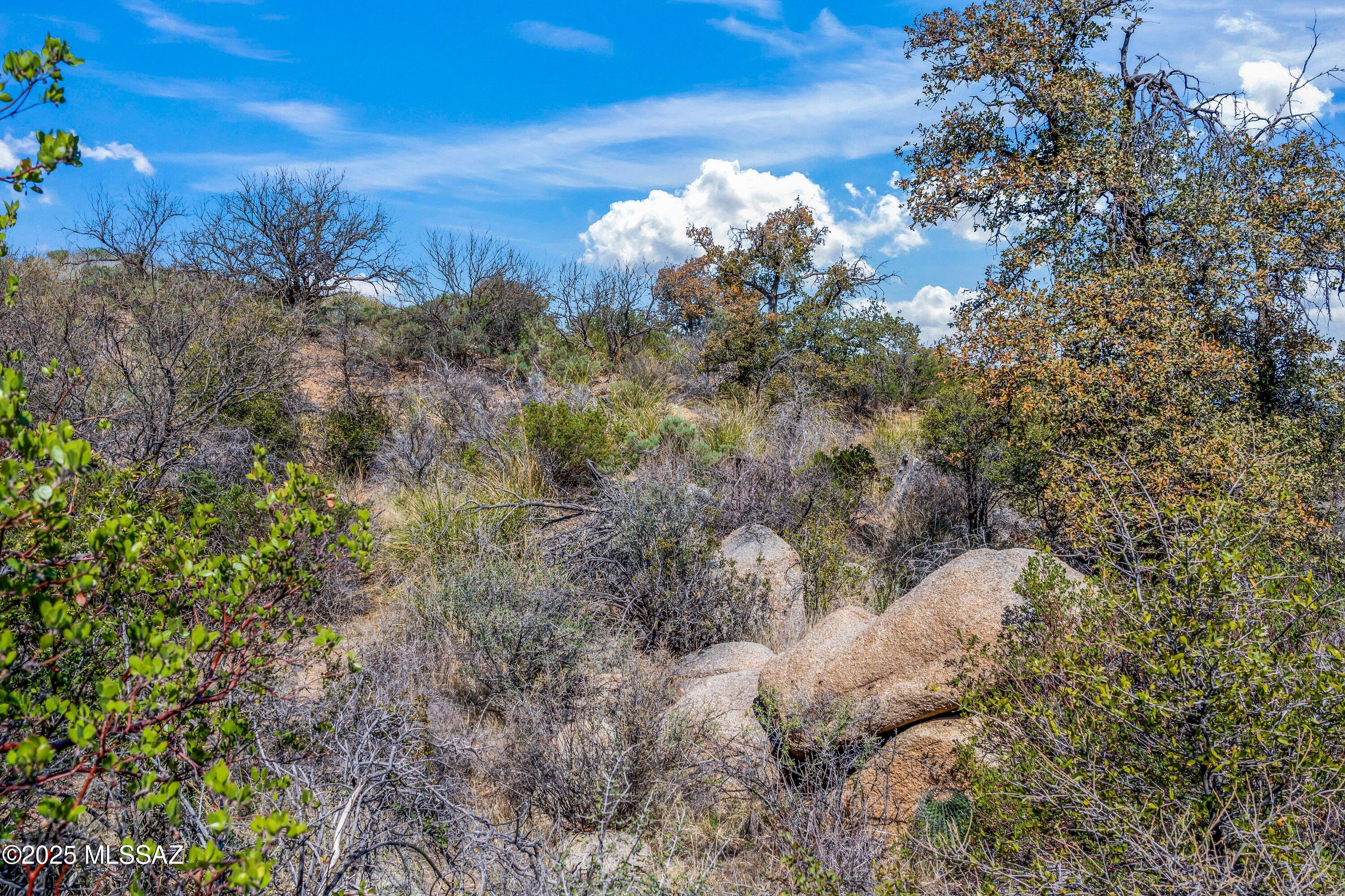 Seller Financing Available. Nestled at a refreshing 4,500 feet elevation, this beautiful oak-covered lot offers a rare combination of serenity, stunning mountain views, and natural character. Towering boulders and mature trees create a peaceful, private setting--perfect for those looking to escape the heat and hustle of city life.

Imagine your dream home surrounded by nature, where cool breezes and starry nights are the norm. Whether you're looking to build a weekend getaway or a full-time retreat, this lot is brimming with potential.

Opportunities like this don't come around often--come explore the possibilities and experience the beauty of Oracle, AZ for yourself!