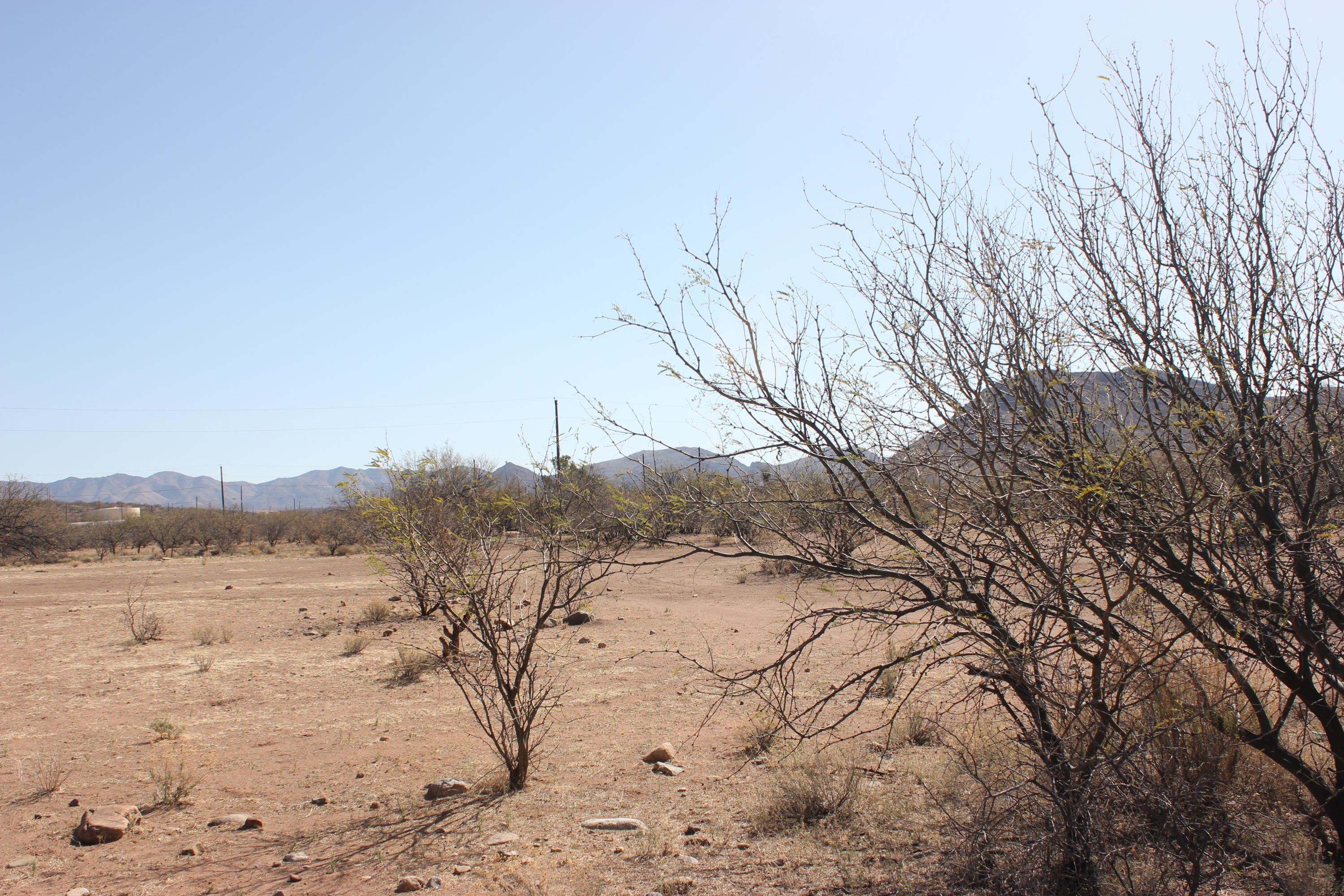 Rio Rico Villas 12 - Land