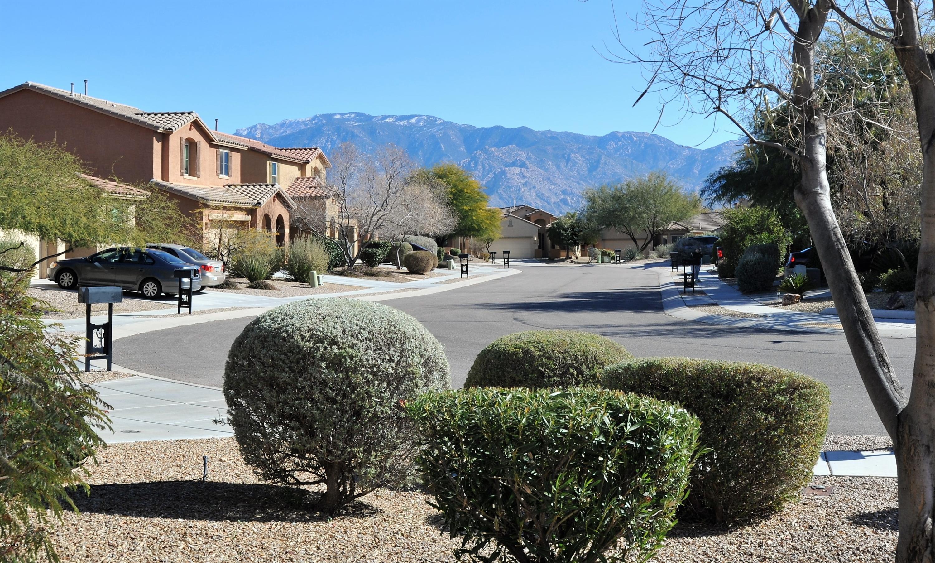 Rancho Vistoso Neighborhood 10 - Residential