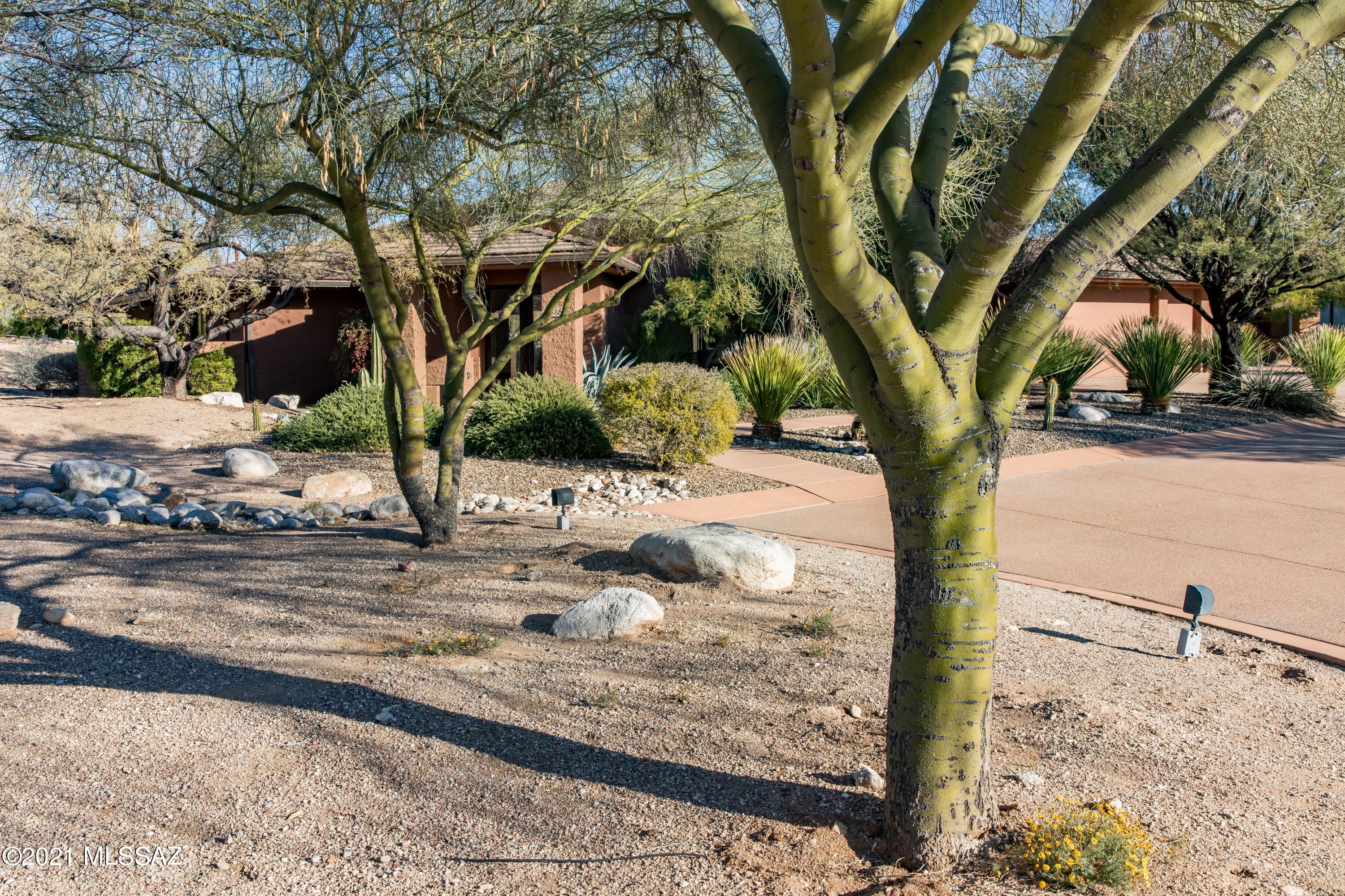 Canyon Ranch Estates II (1-20) - Residential