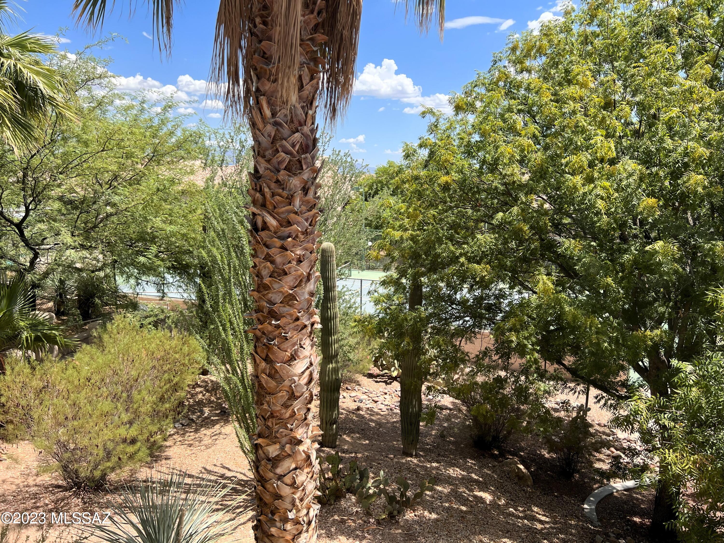 Moonrise at Starr Pass Condominium - Residential