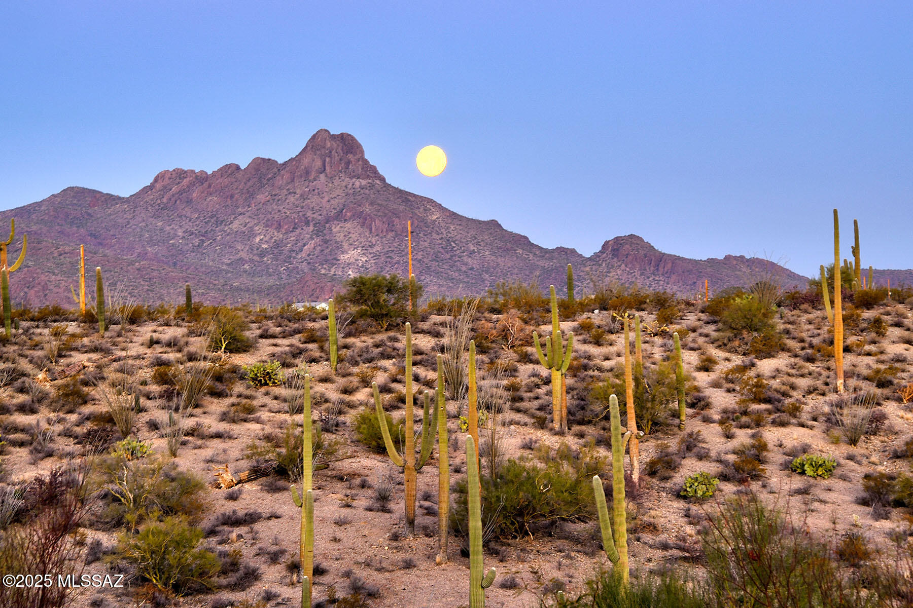 Tucson Mountain Reserve (1-124) - Residential