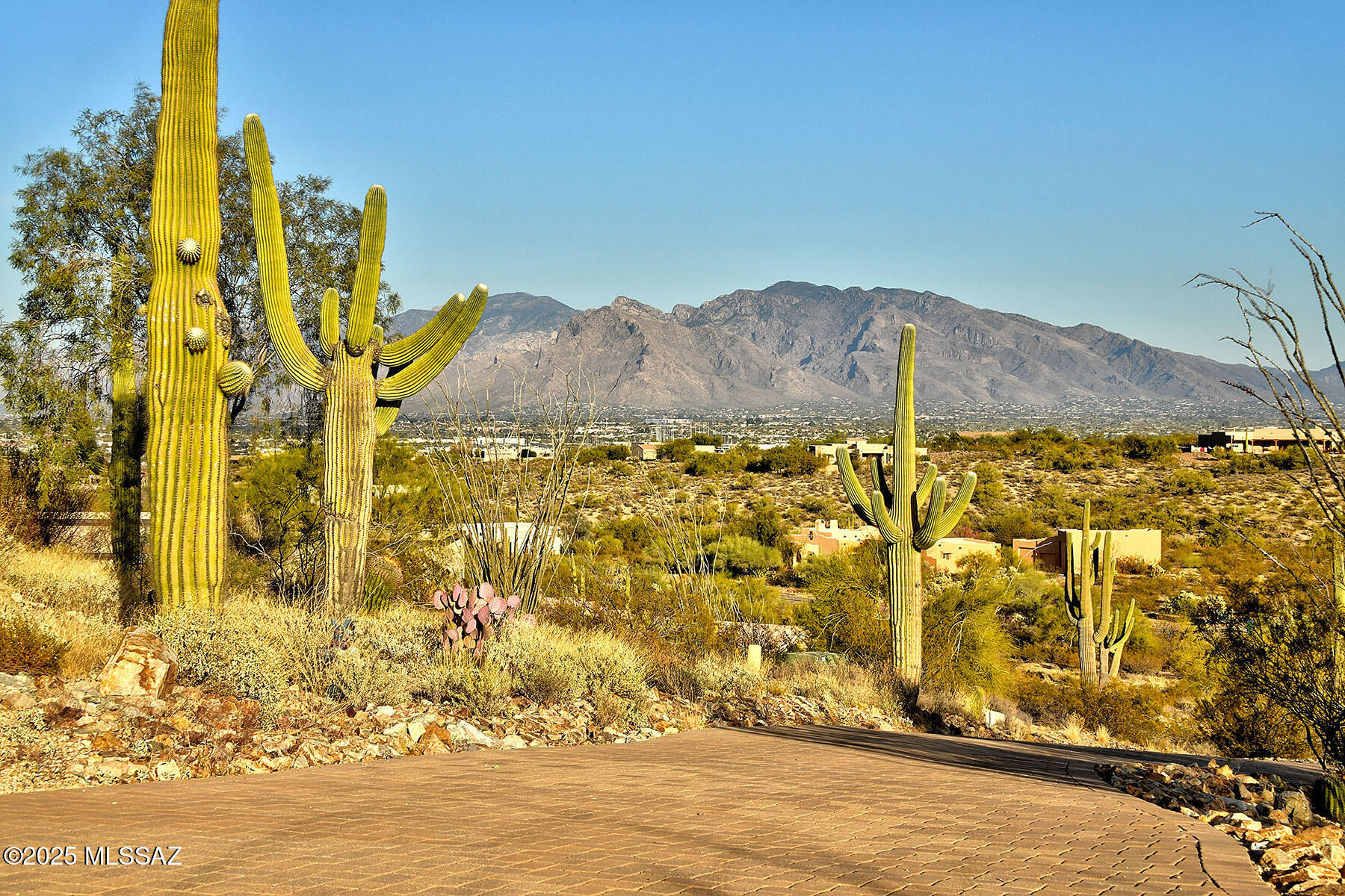 Tucson Mountain Reserve (1-124) - Residential