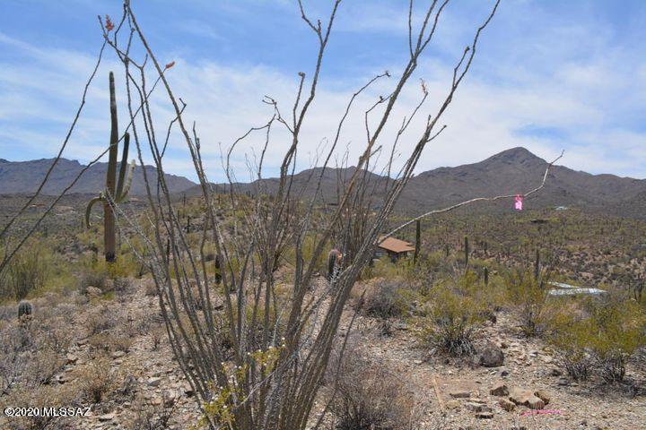 No other OPPORTUNITY that I know of to 3.32 acres BORDERING NATIONAL FOREST land for only $79,000! Build on a gentle slope providing FABULOUS CITY and MOUNTAIN VIEWS, 15 minutes from I-10 near the end of El Camino del Cerro. Beautiful vegetation in a PEACEFUL, SERENE, ''end of the road'' setting. Marana schools and electric to the site. Buyer to drill well. Please see ''Documents'' section for additional information.
Because of gate, MUST CALL co-listing agent to view, Matt, 520-222-9793.