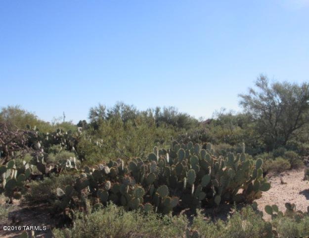 This is a nice flat buildable location for a custom home.  The lot is surrounded by custom homes.  Desert plant life is thick and plenty on this lot.  The property does have legal, but not physical access at this time.