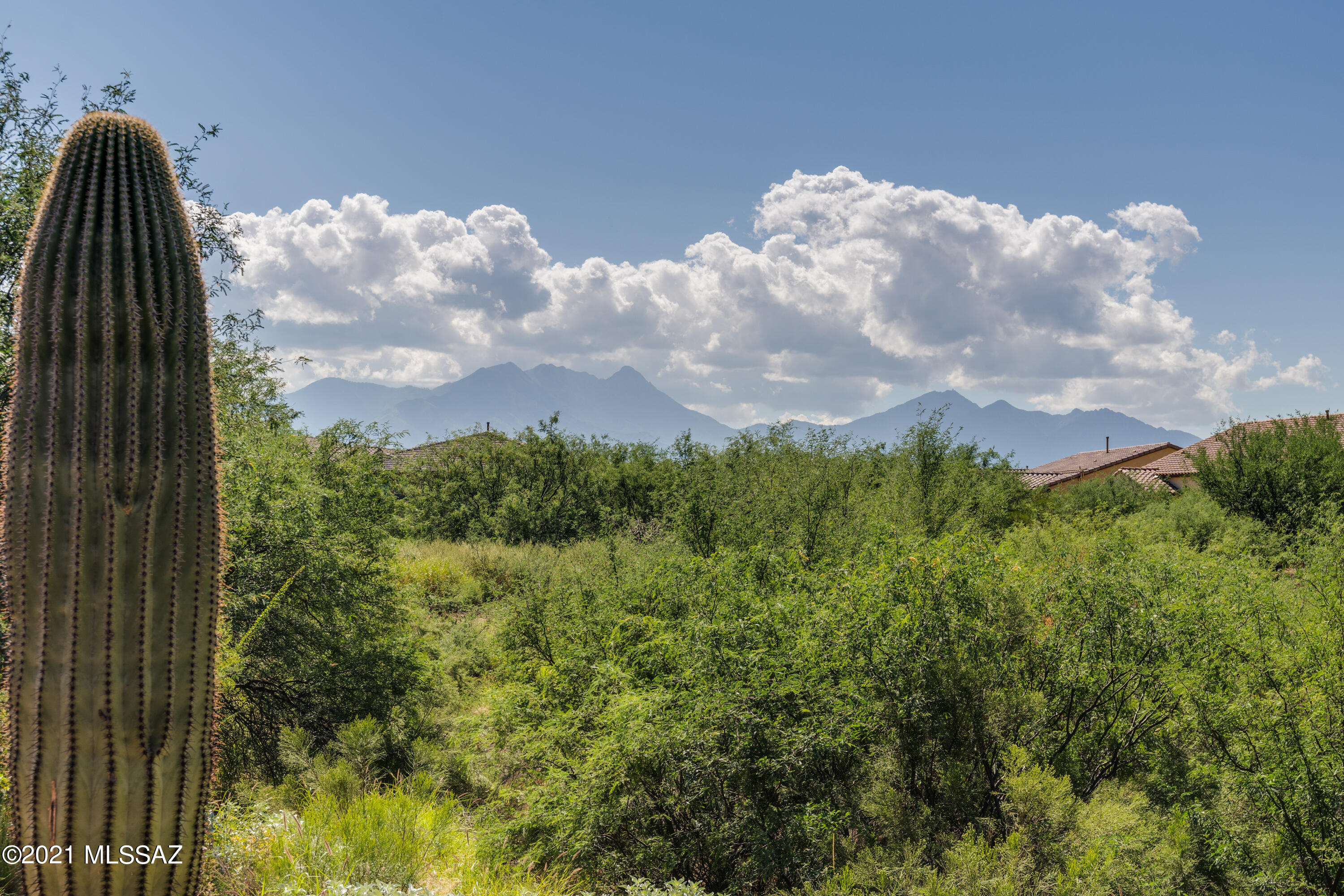 Quail Creek II Unit 15 (1-120) - Residential
