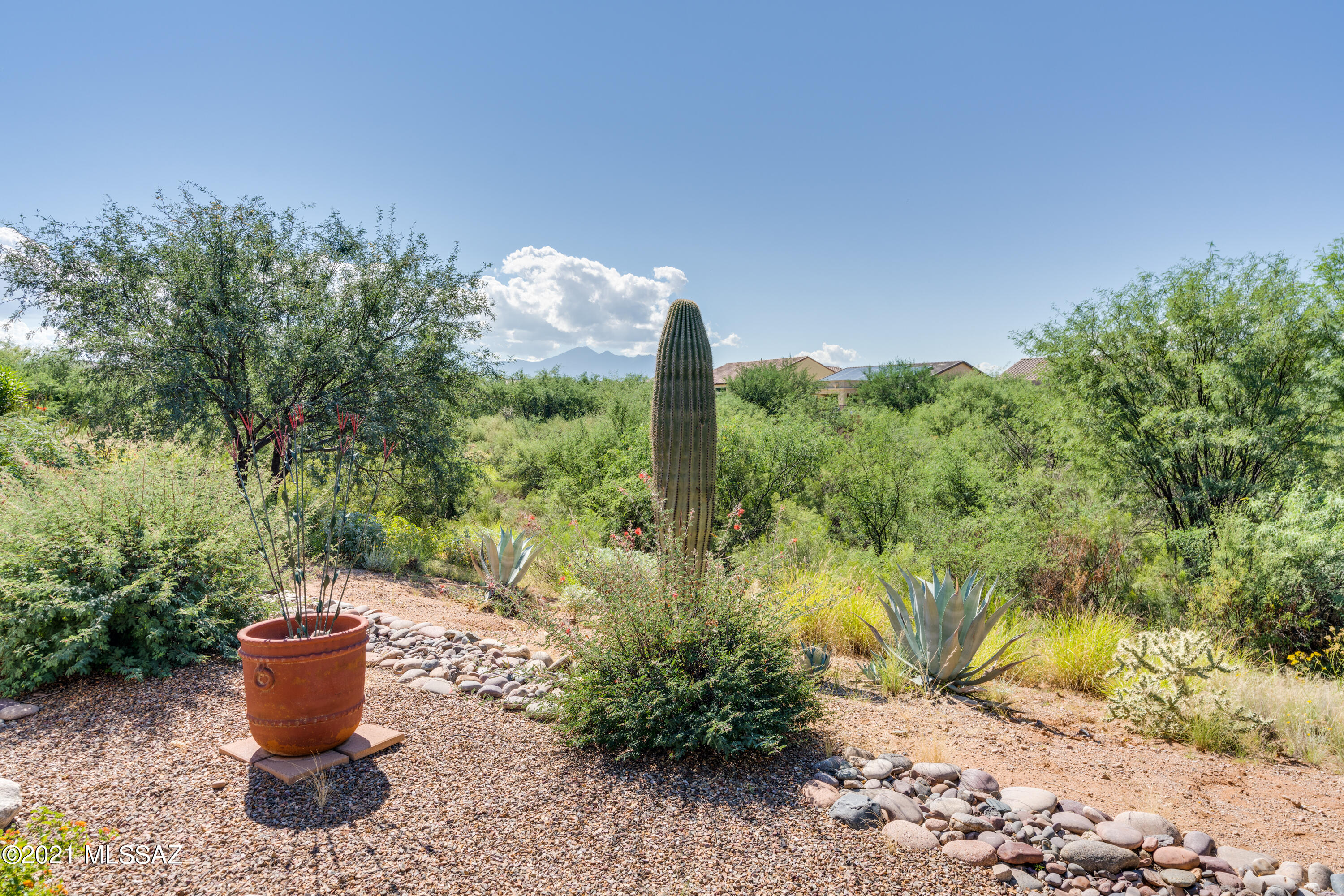 Quail Creek II Unit 15 (1-120) - Residential