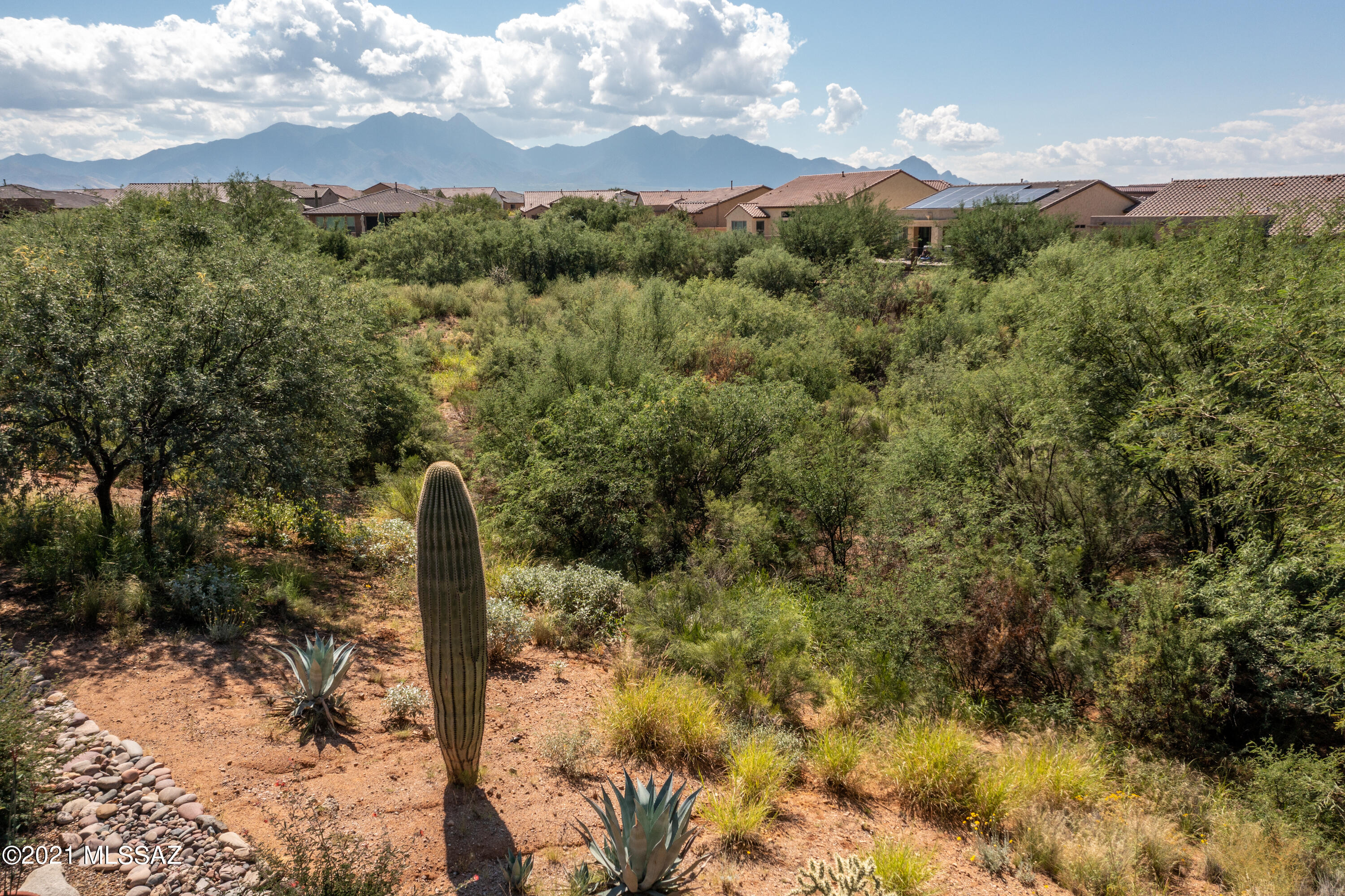 Quail Creek II Unit 15 (1-120) - Residential