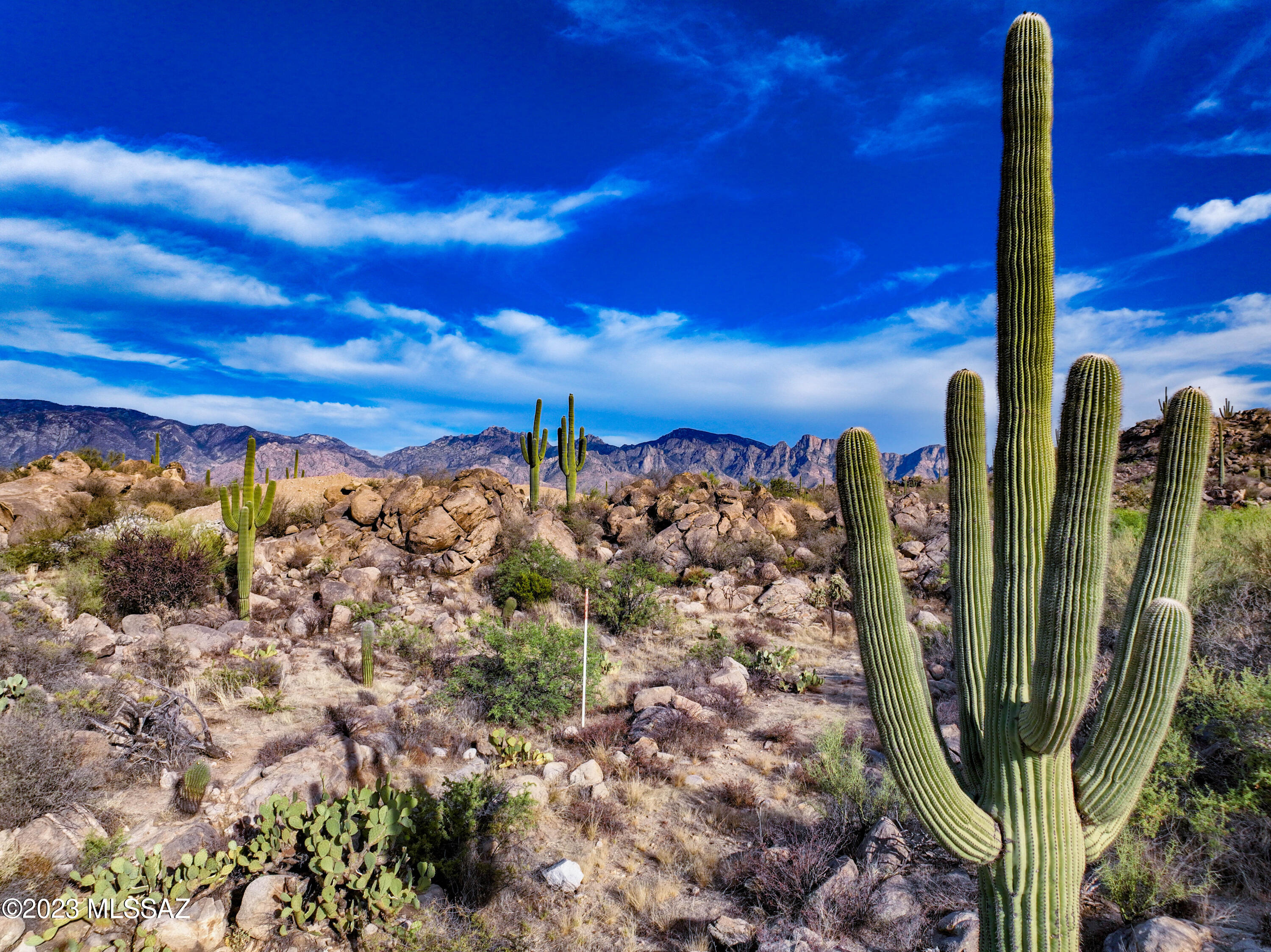 Stone Canyon VIII (486-602) - Land