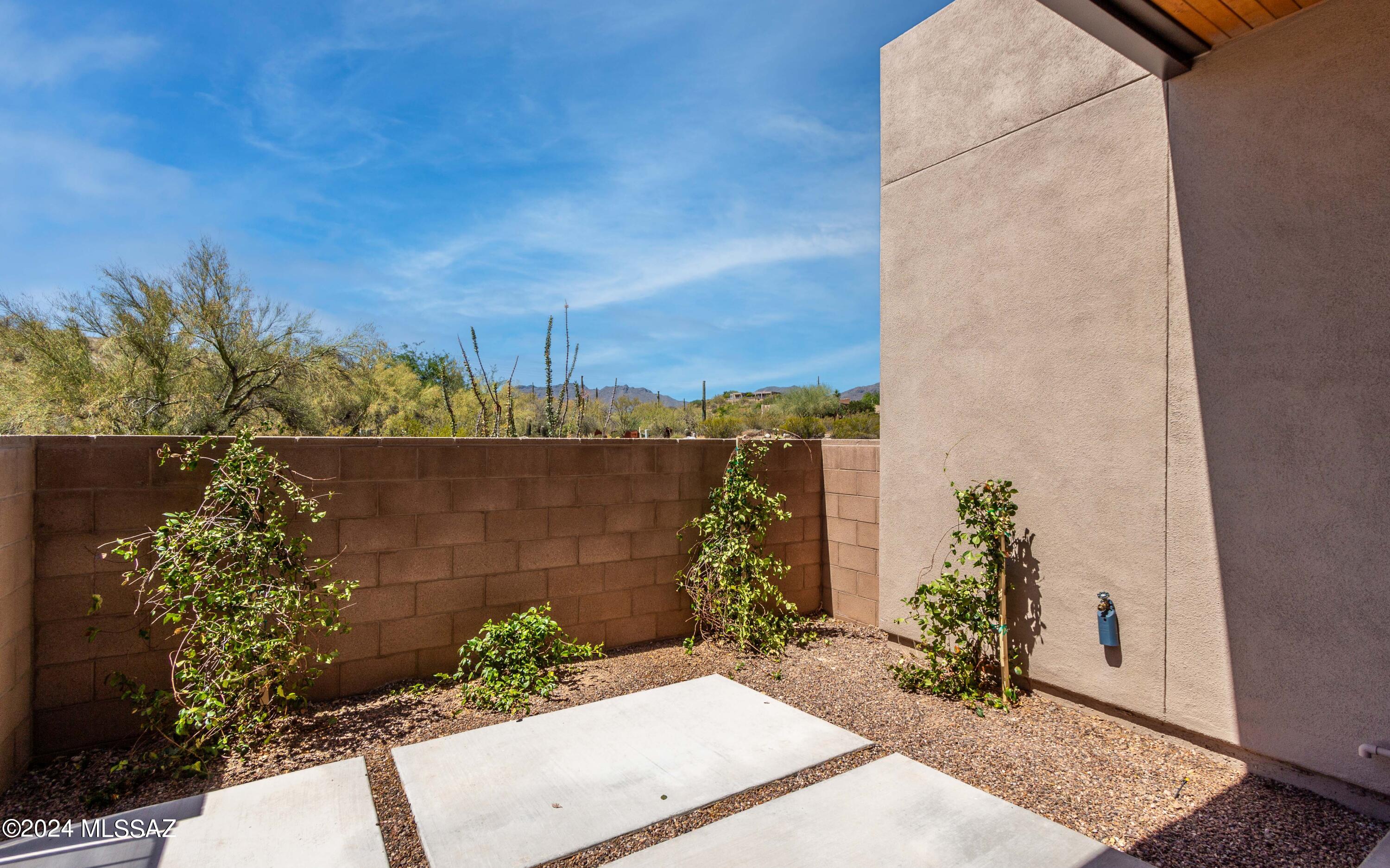 Tucson Mountain Reserve (1-124) - Residential