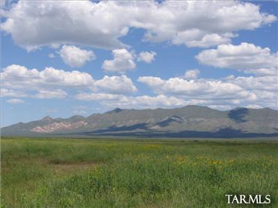 Out Of Pima County - Land