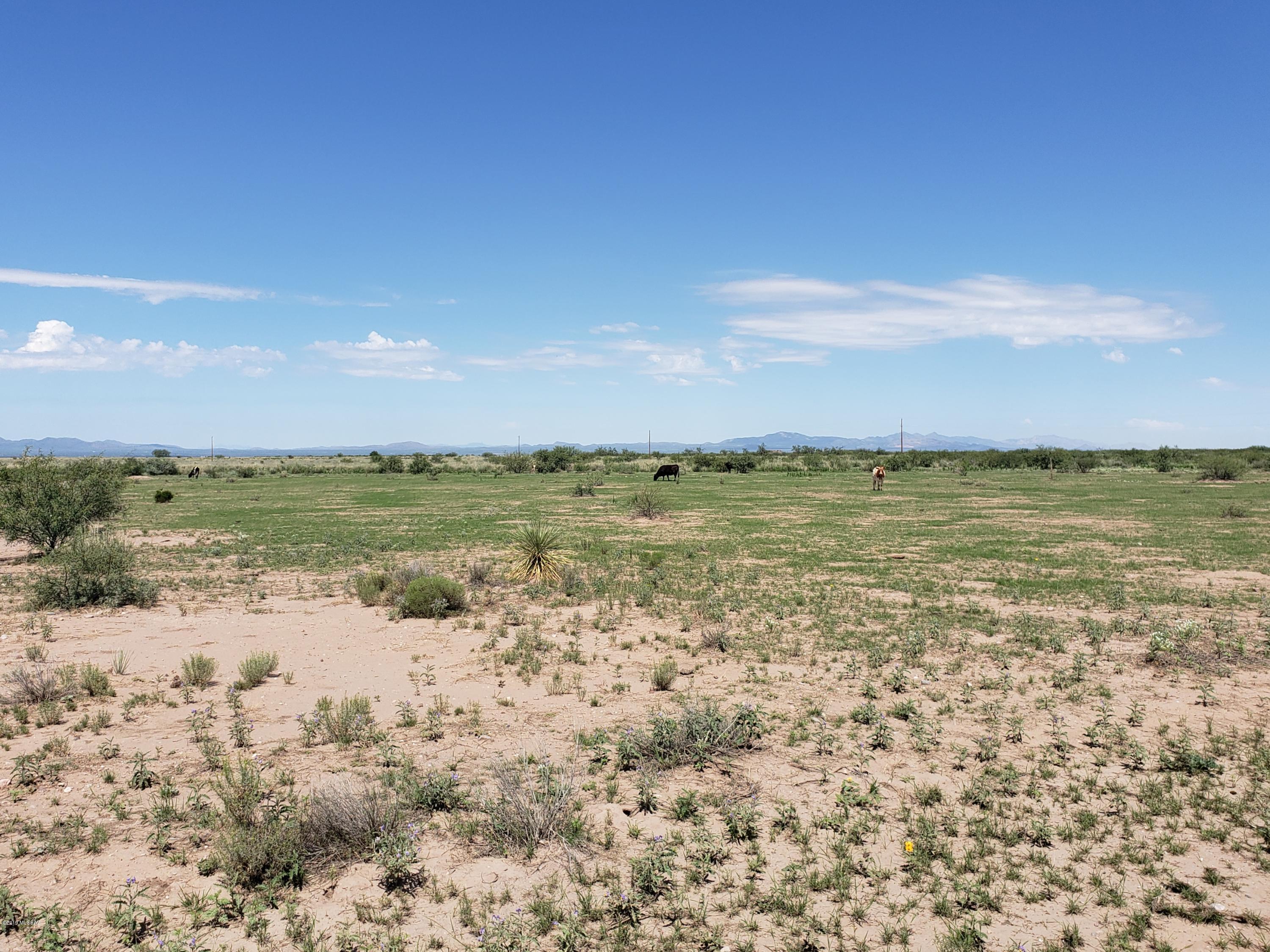 Out Of Pima County - Land