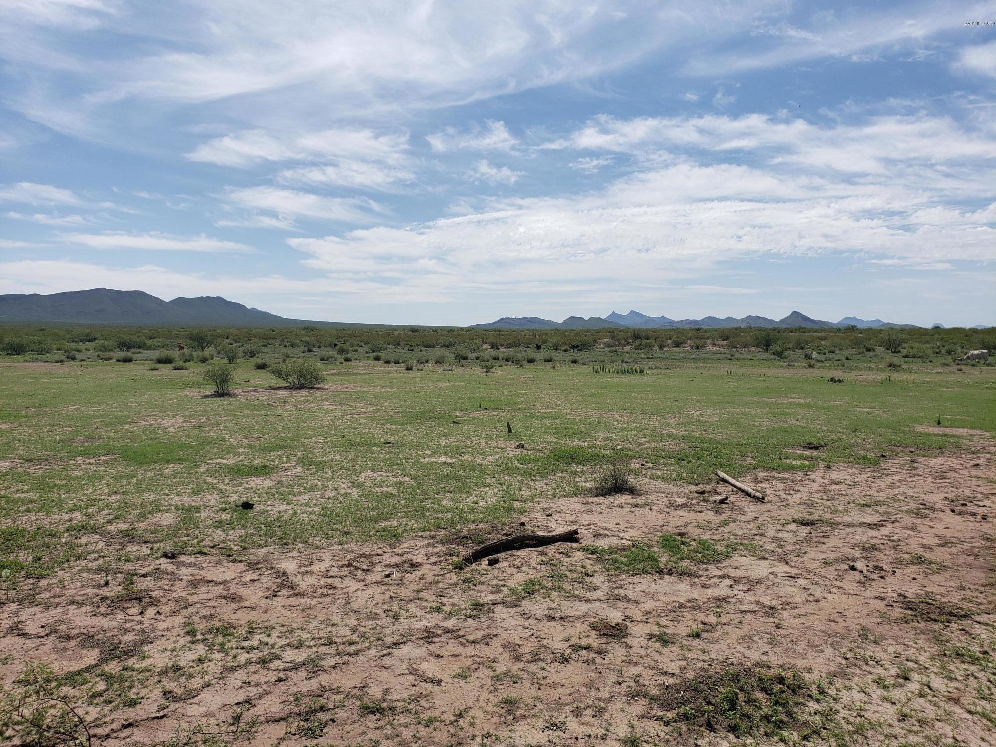 Out Of Pima County - Land