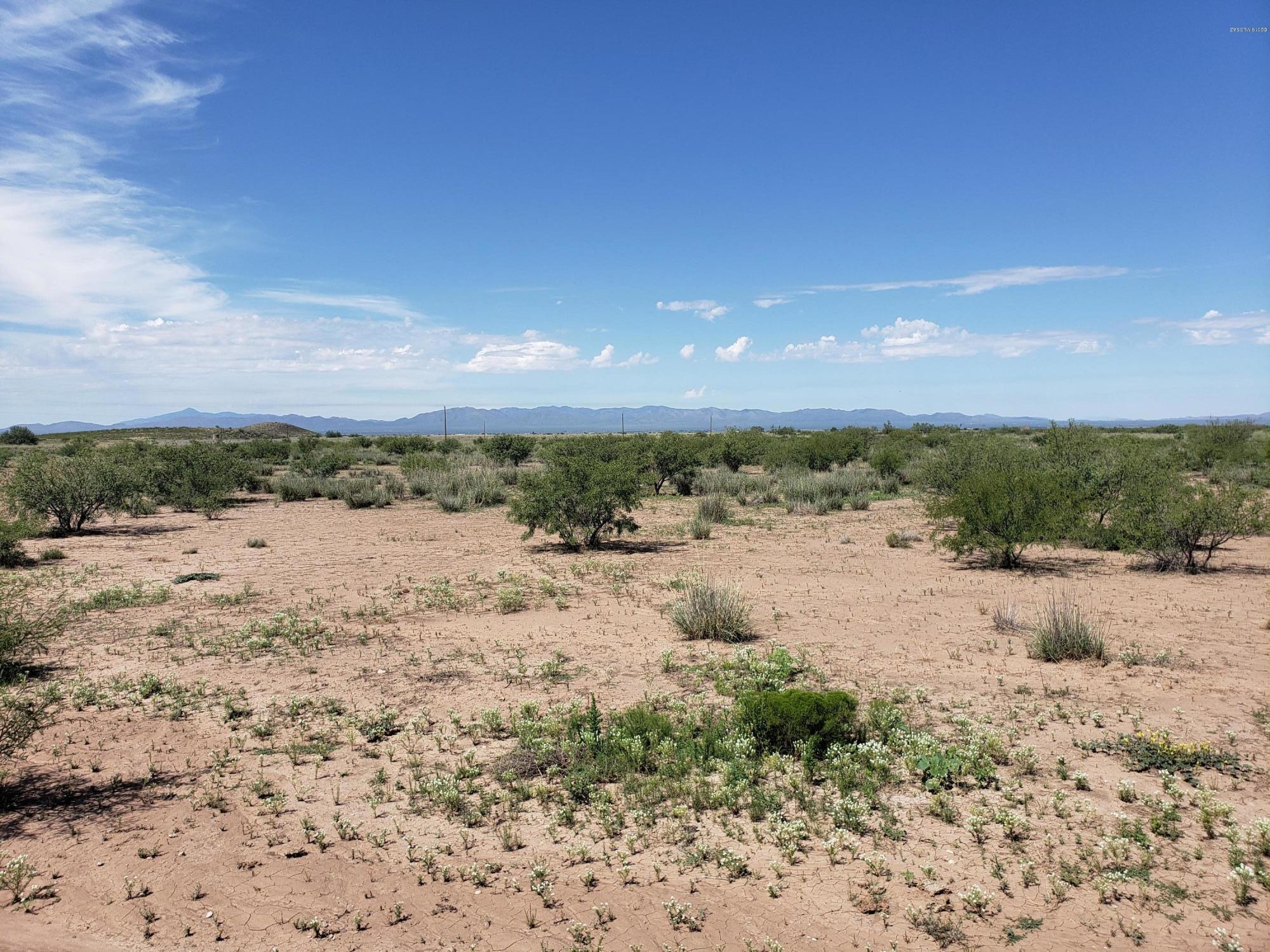 Out Of Pima County - Land