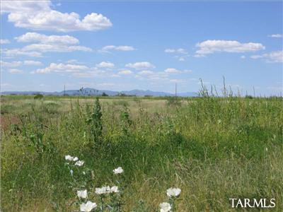 Out Of Pima County - Land