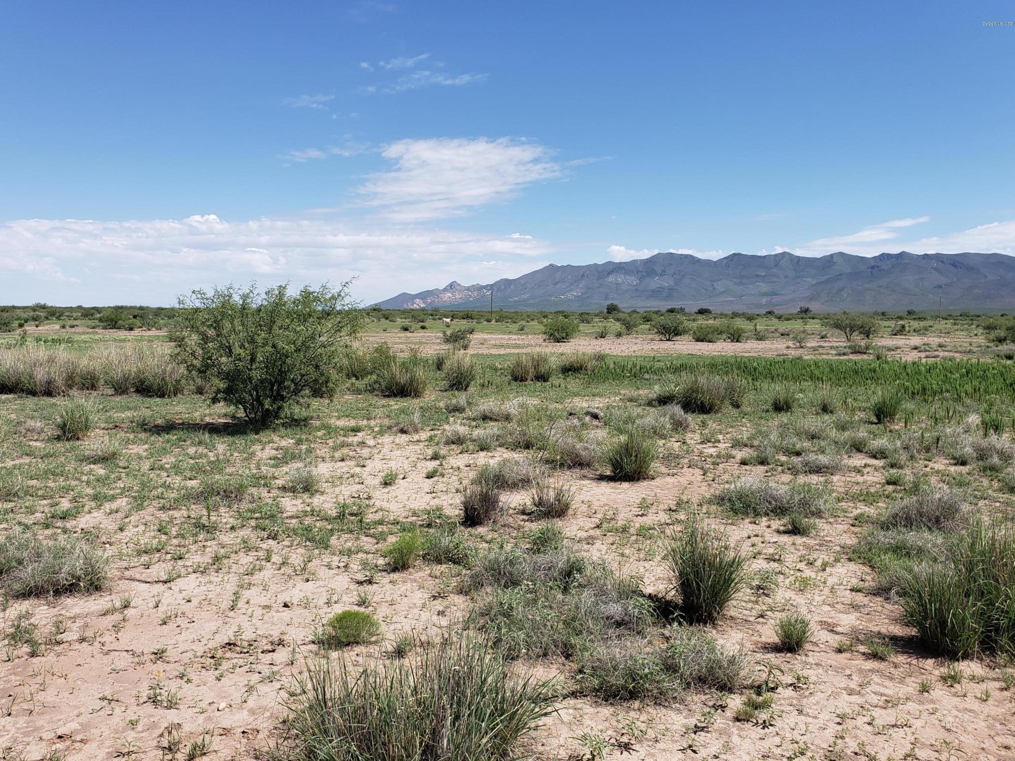 Out Of Pima County - Land